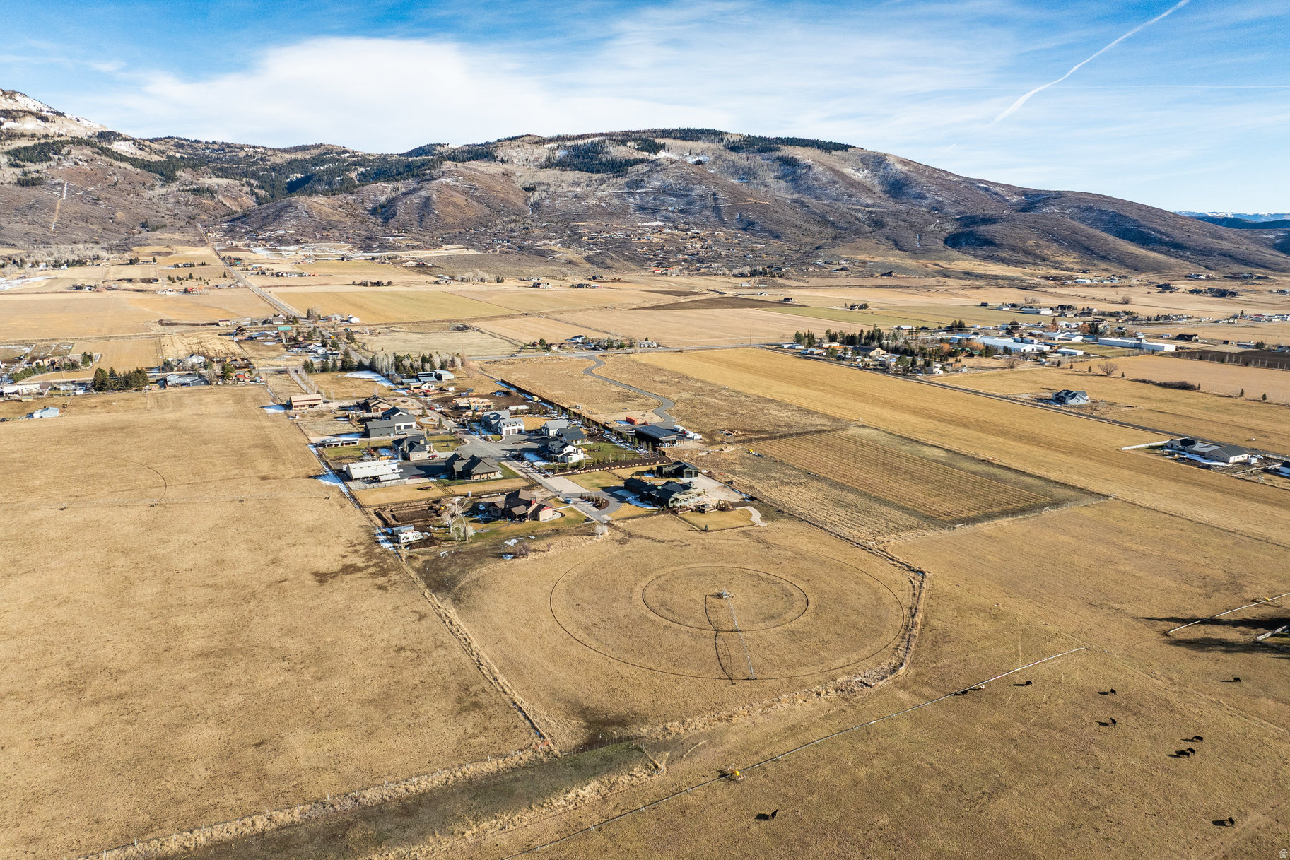 main property photo 80