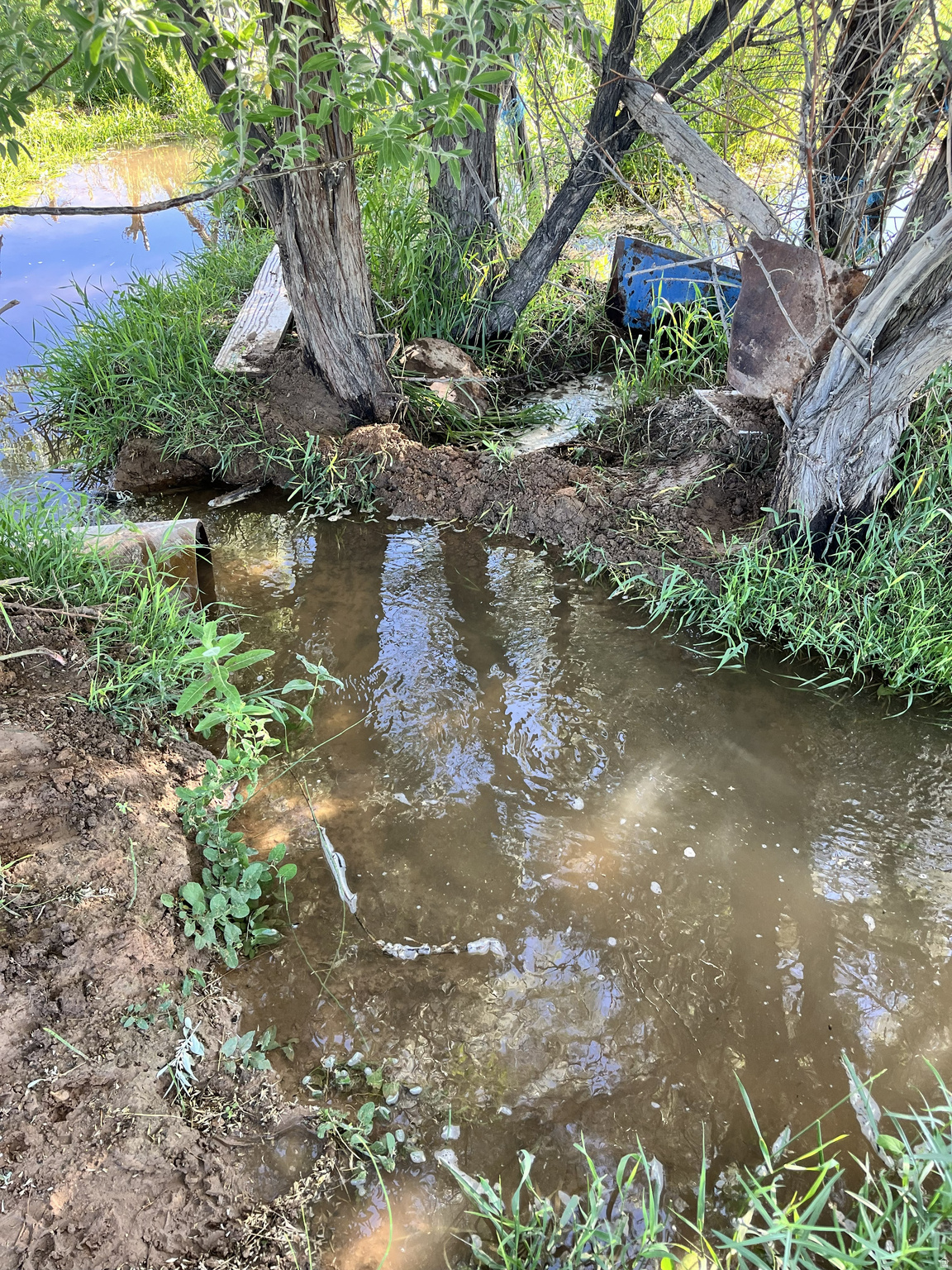 main property photo 26