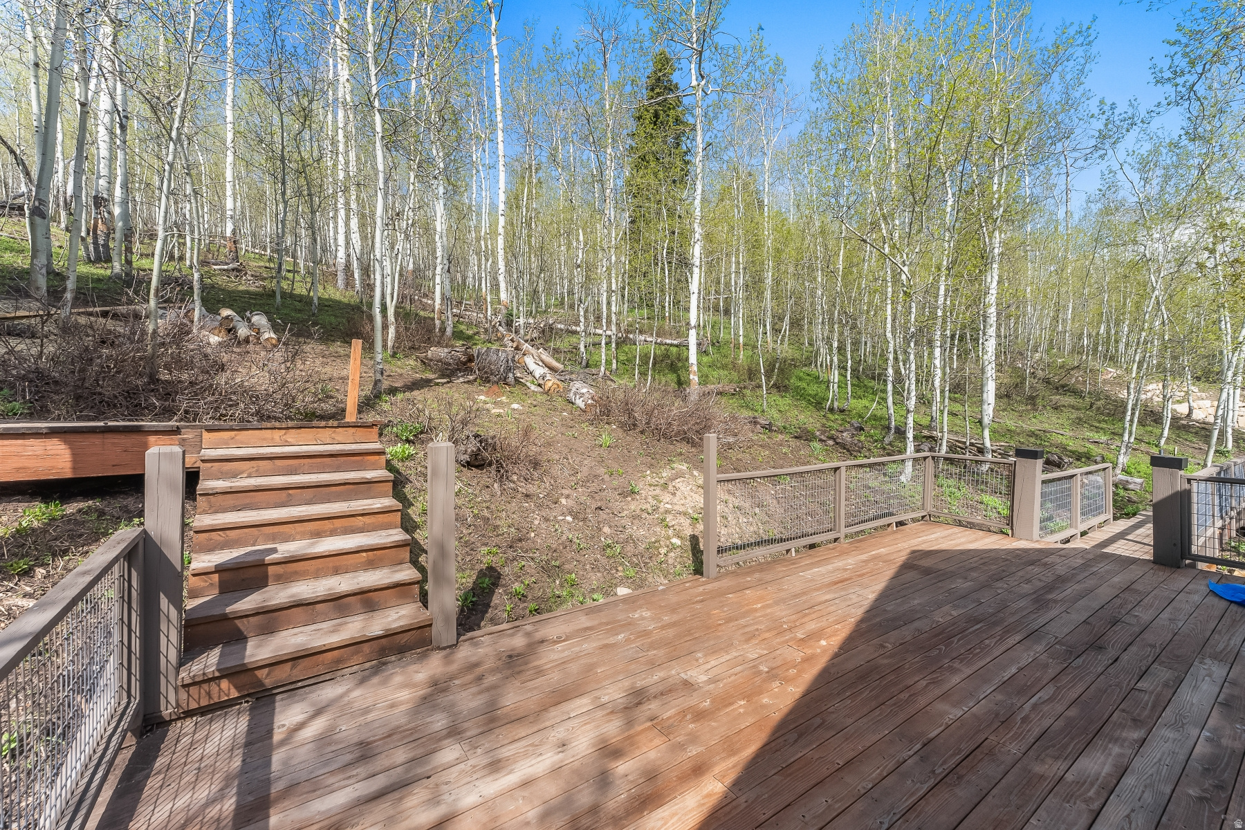 main property photo 62