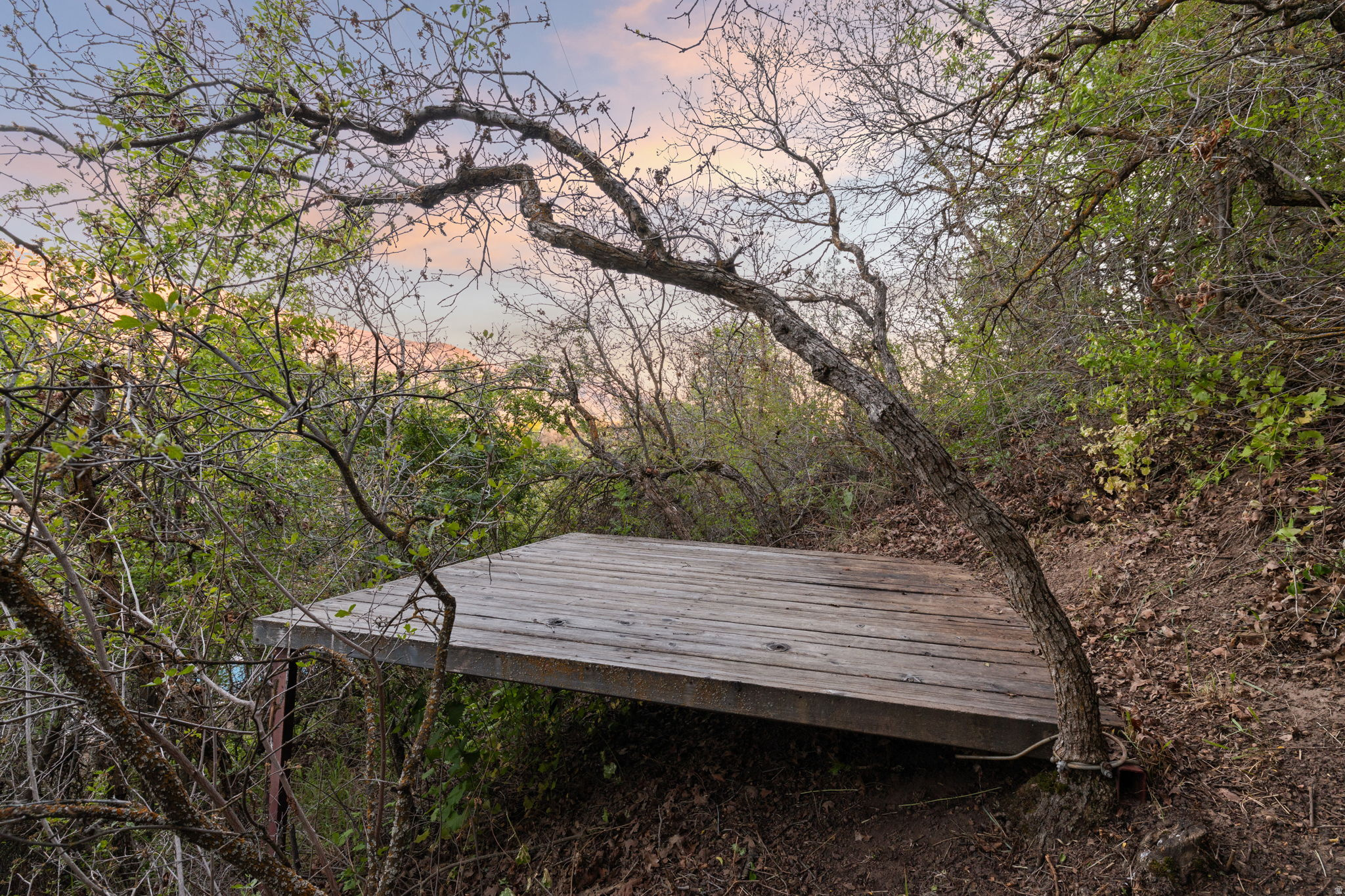main property photo 53