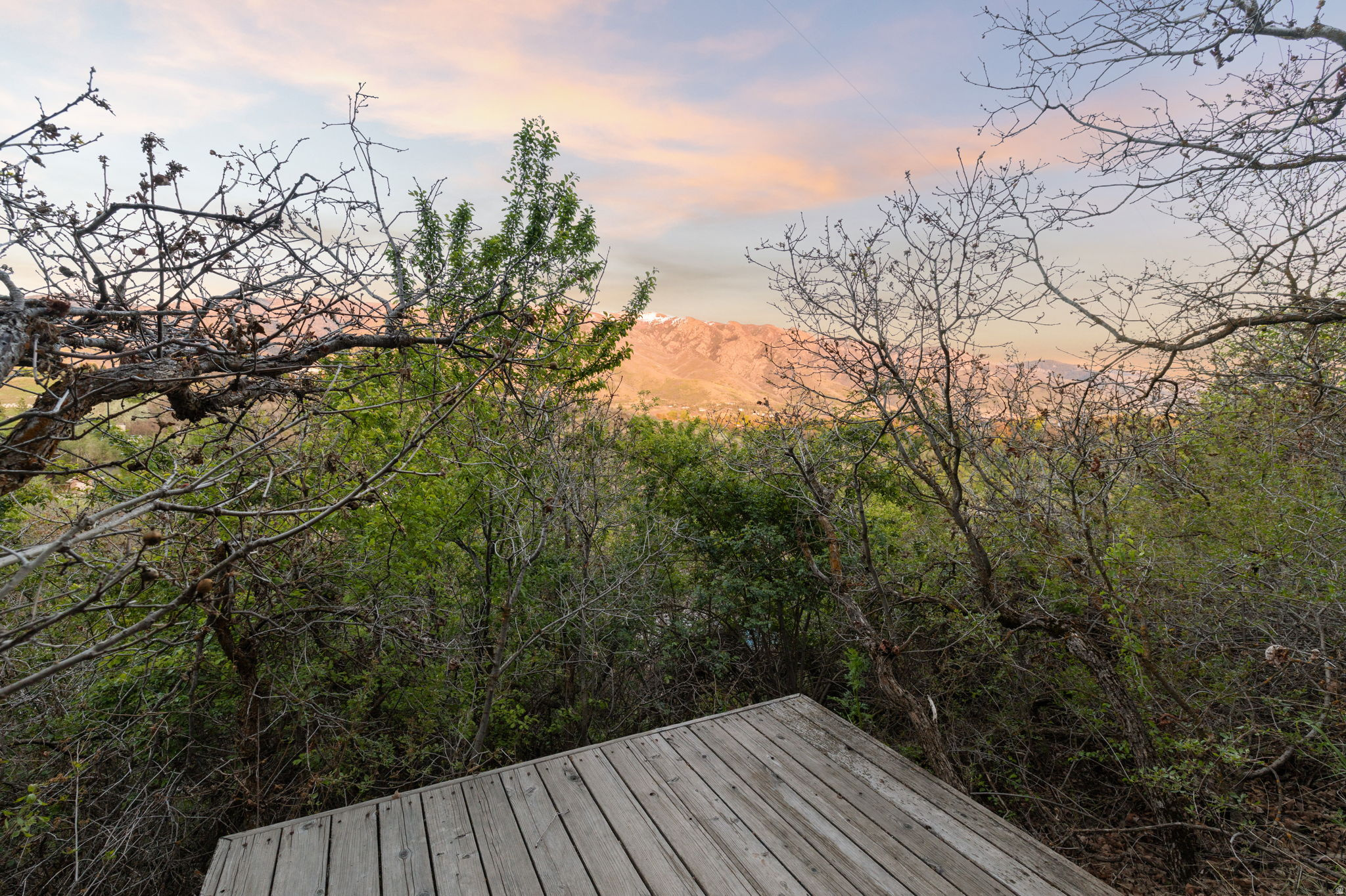 main property photo 54