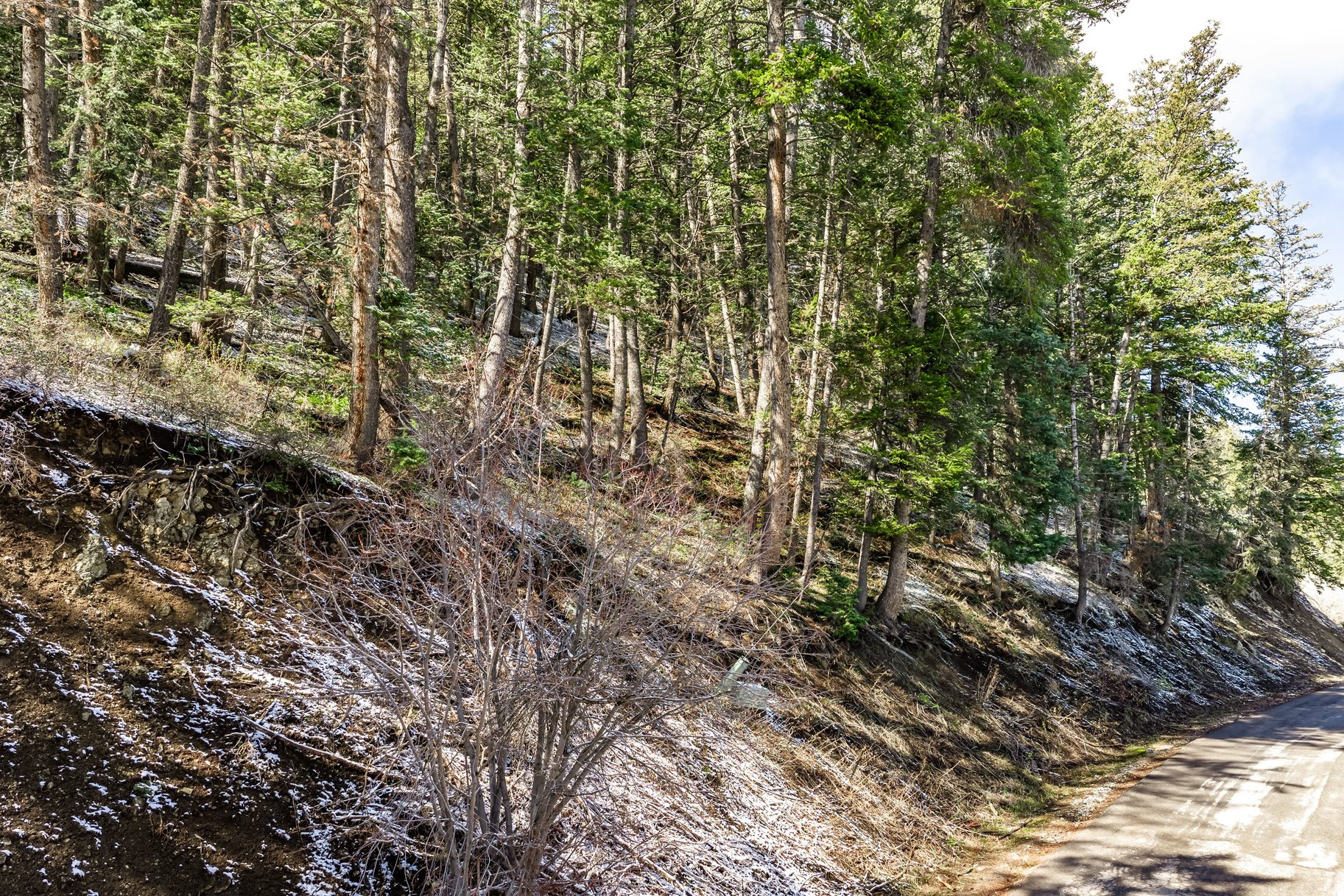 main property photo 25
