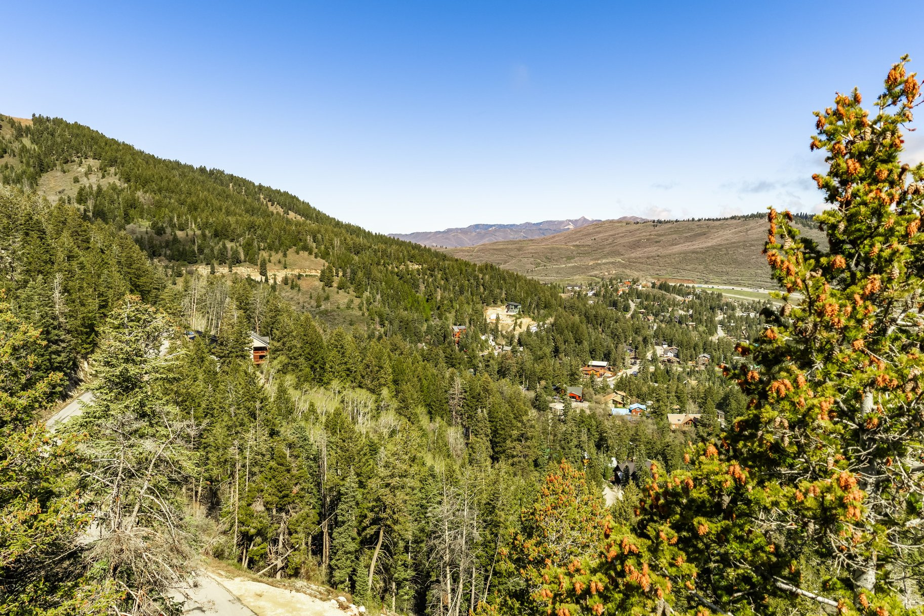 main property photo 31