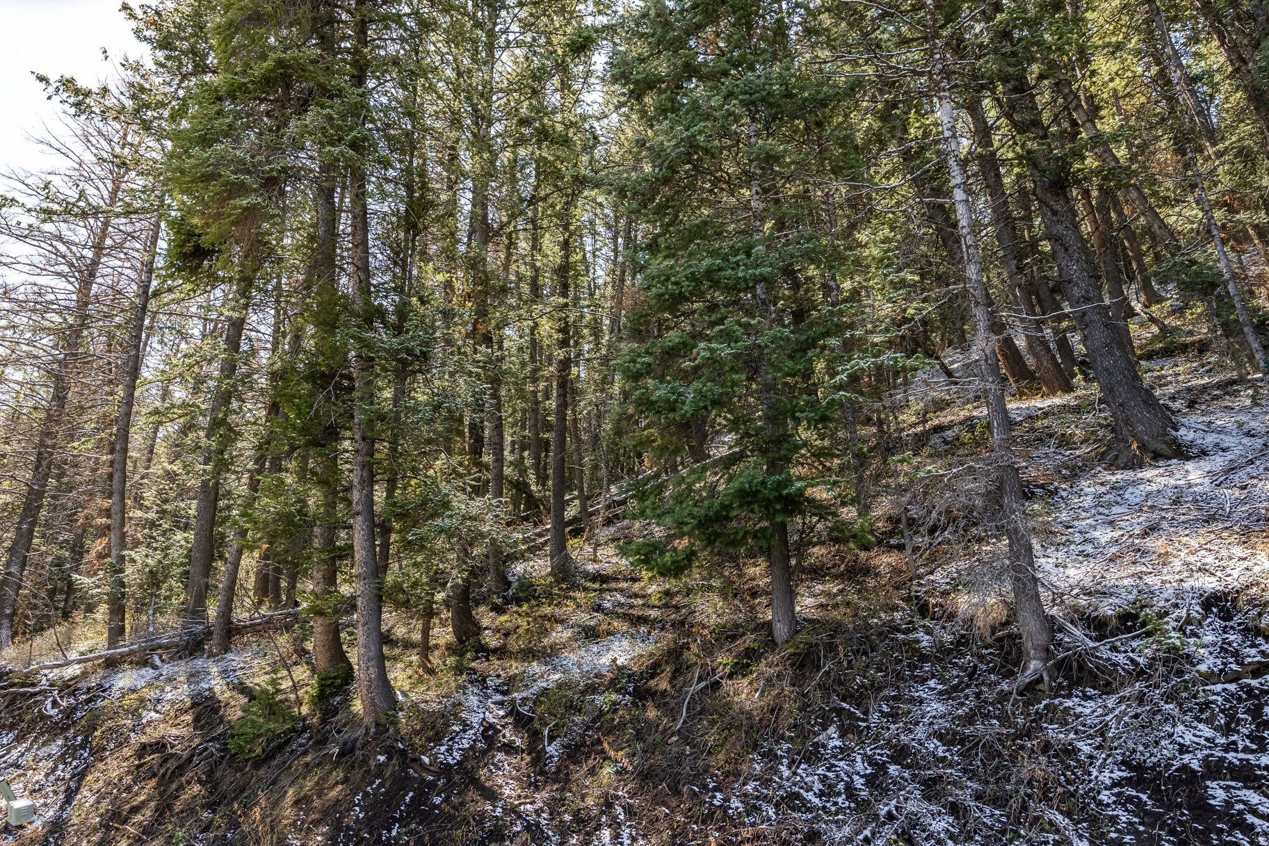 main property photo 9