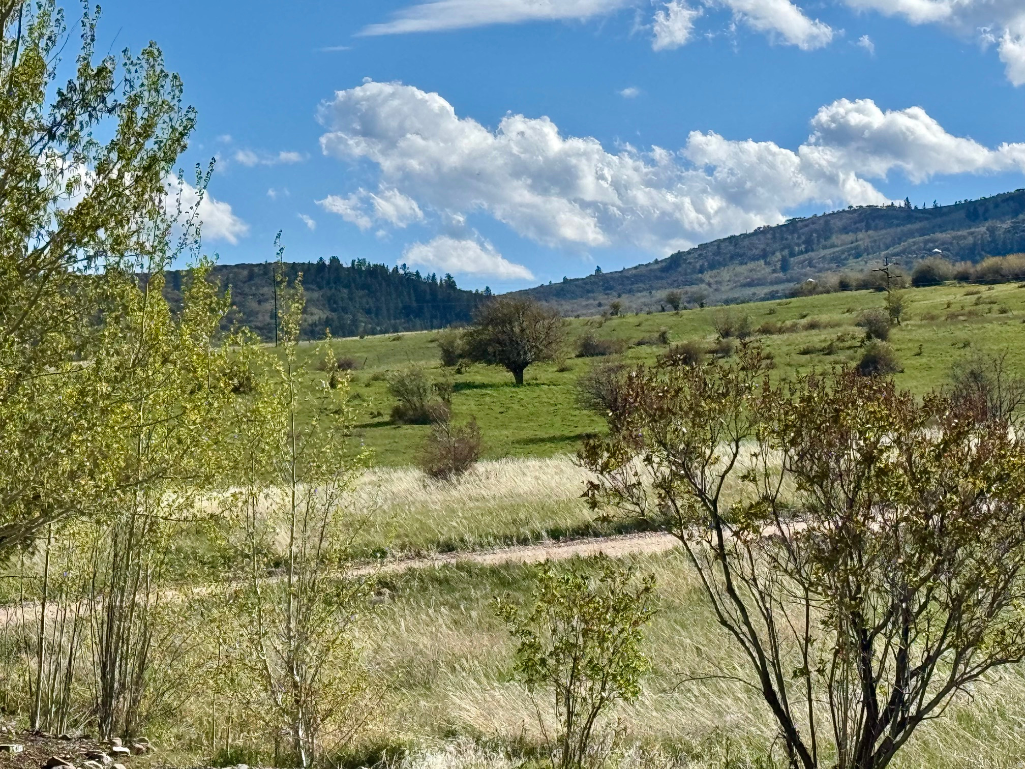 main property photo 86