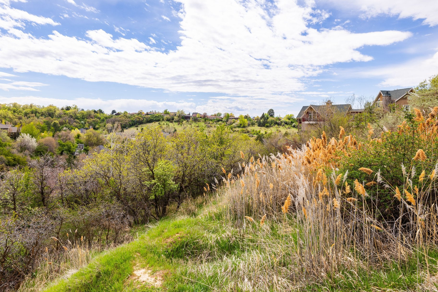 main property photo 48