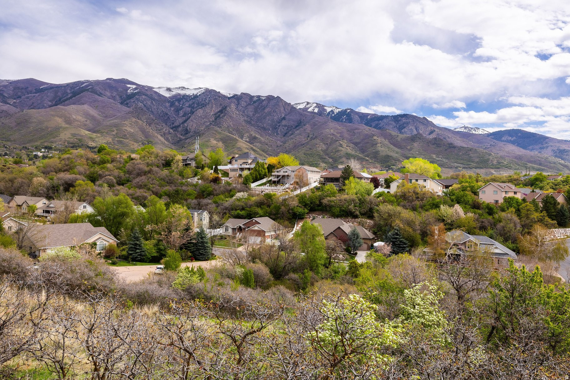main property photo 53