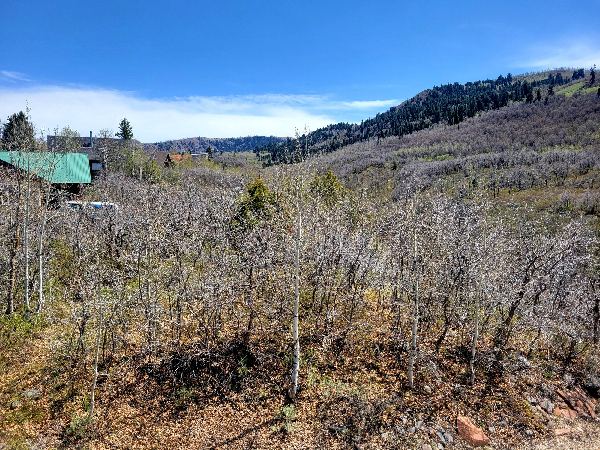 main property photo 29