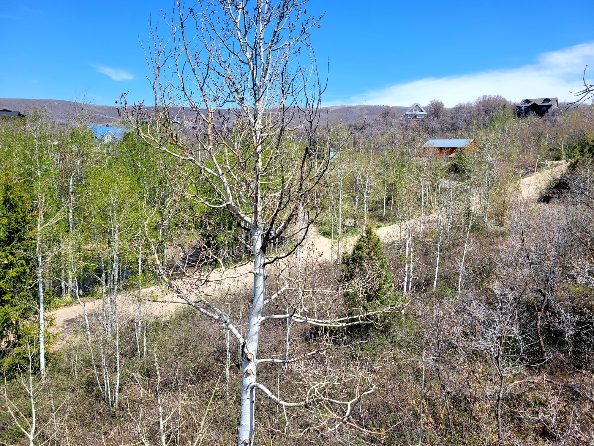 main property photo 32