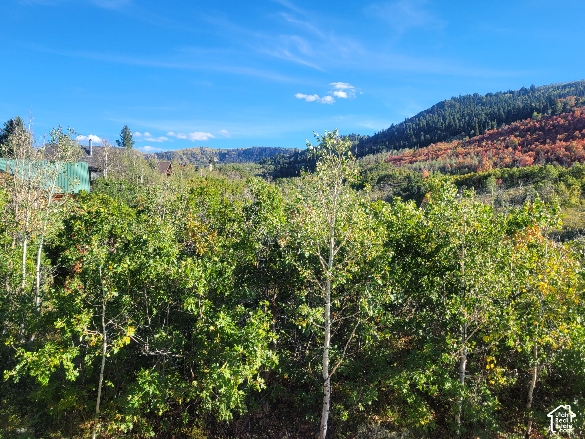 main property photo 44
