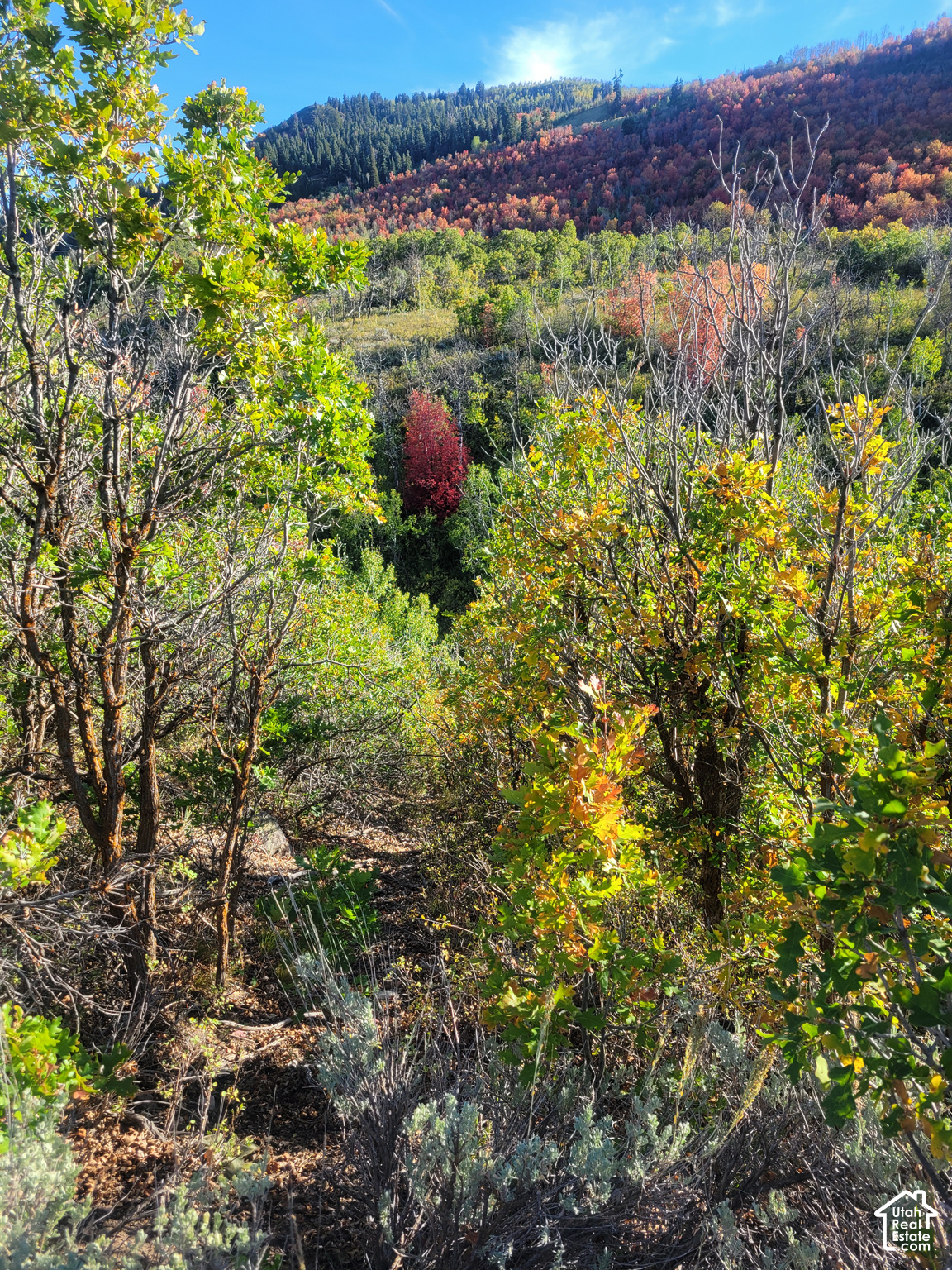 main property photo 46
