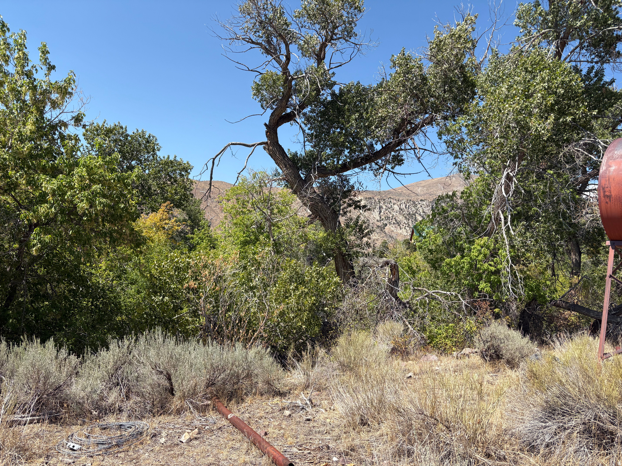 main property photo 23
