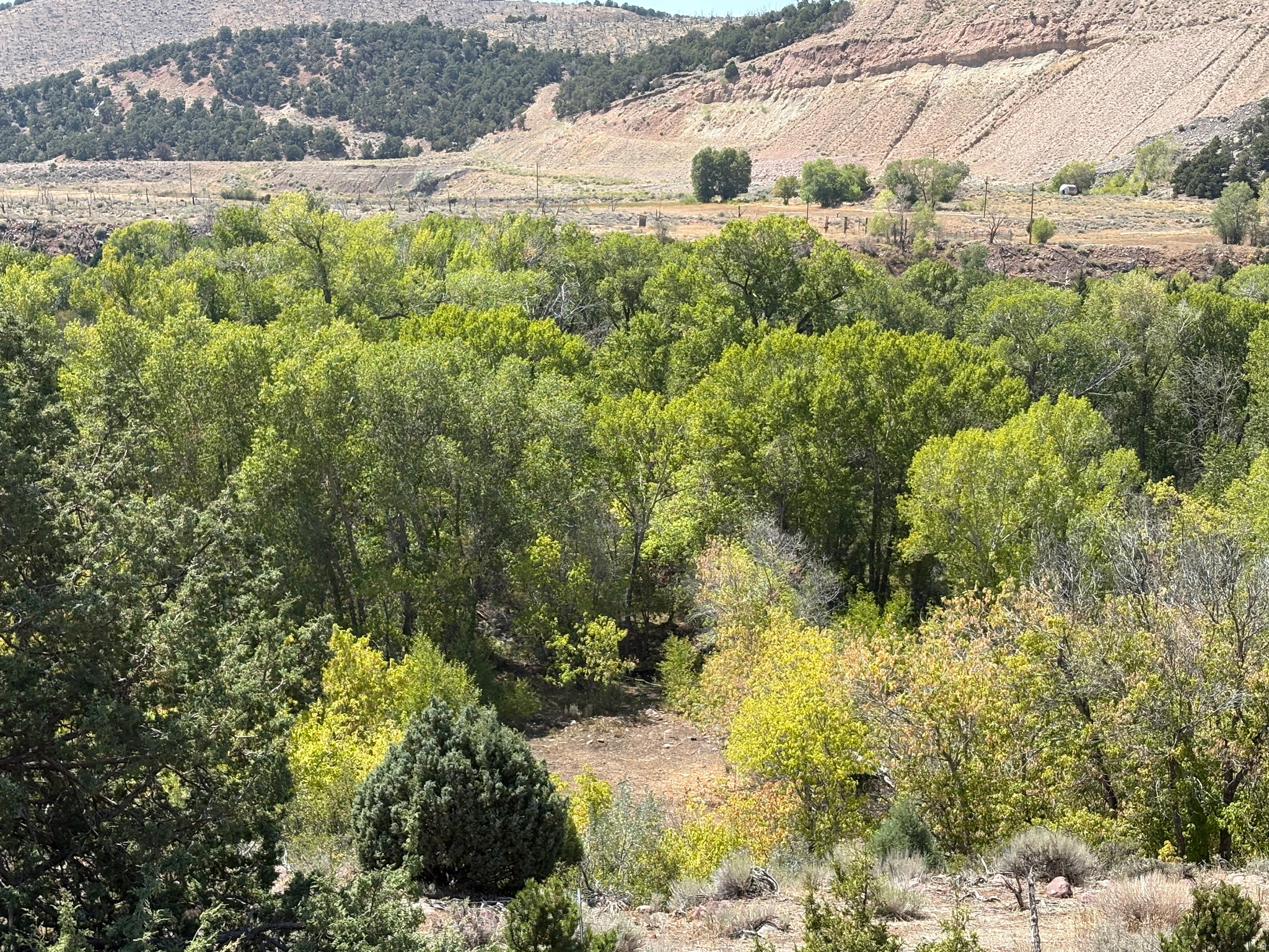 main property photo 31