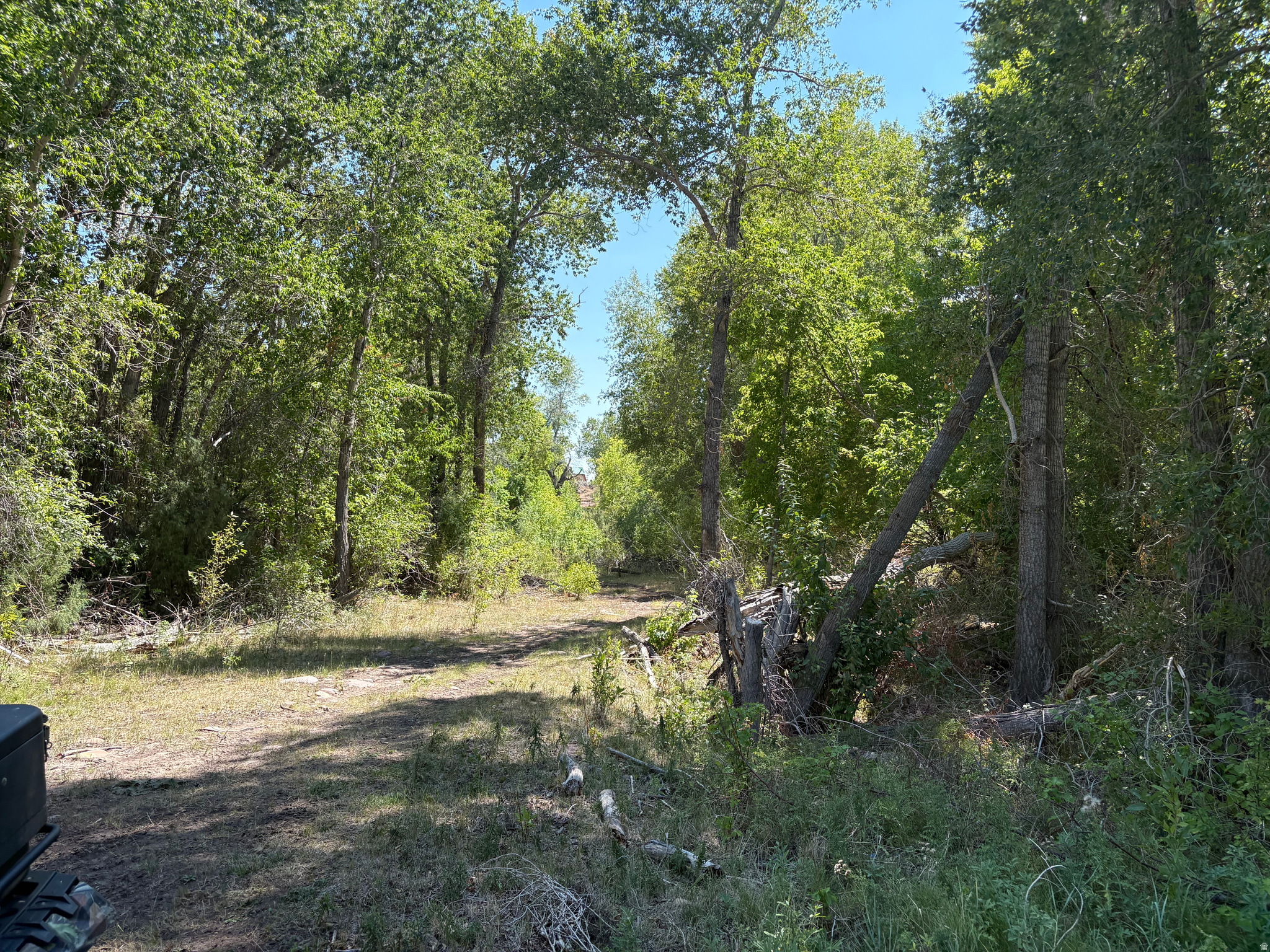 main property photo 36