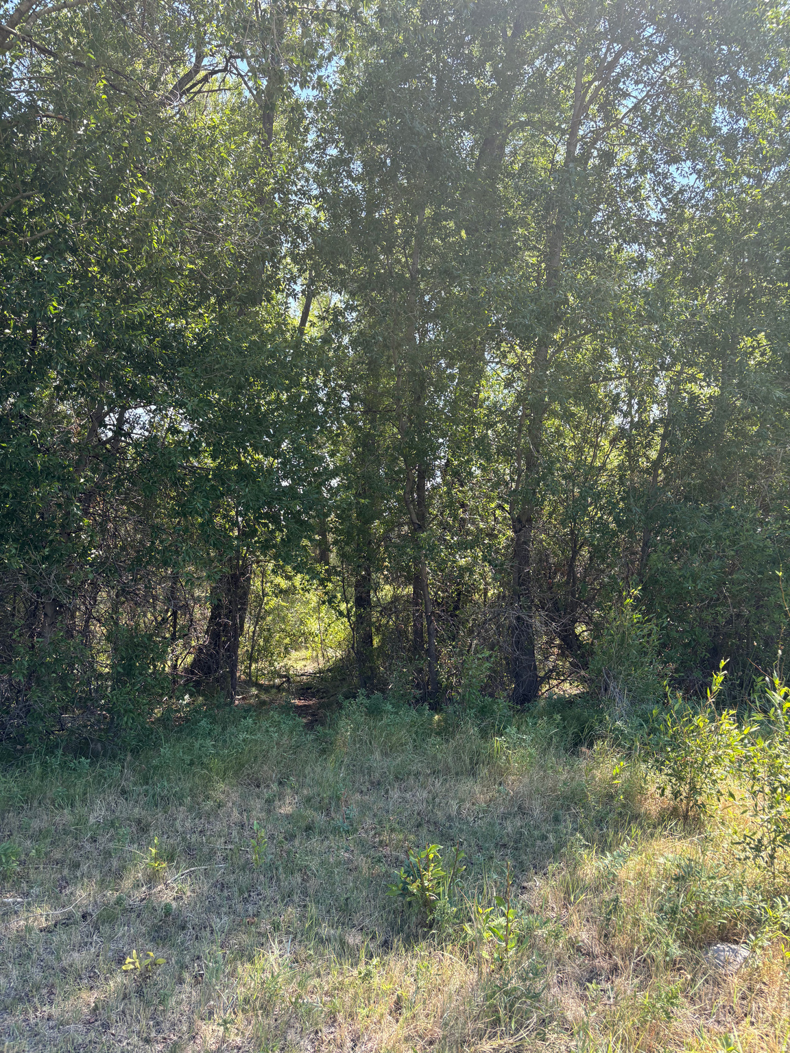 main property photo 37