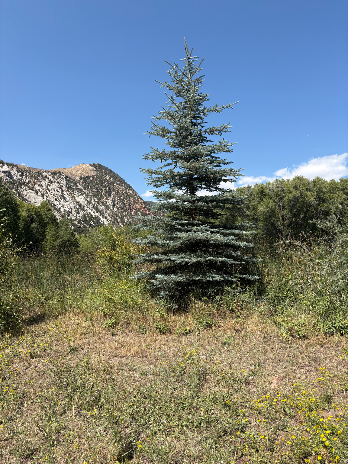 main property photo 38