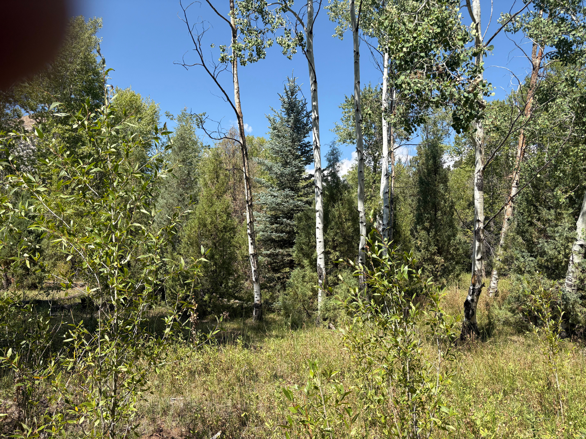 main property photo 41