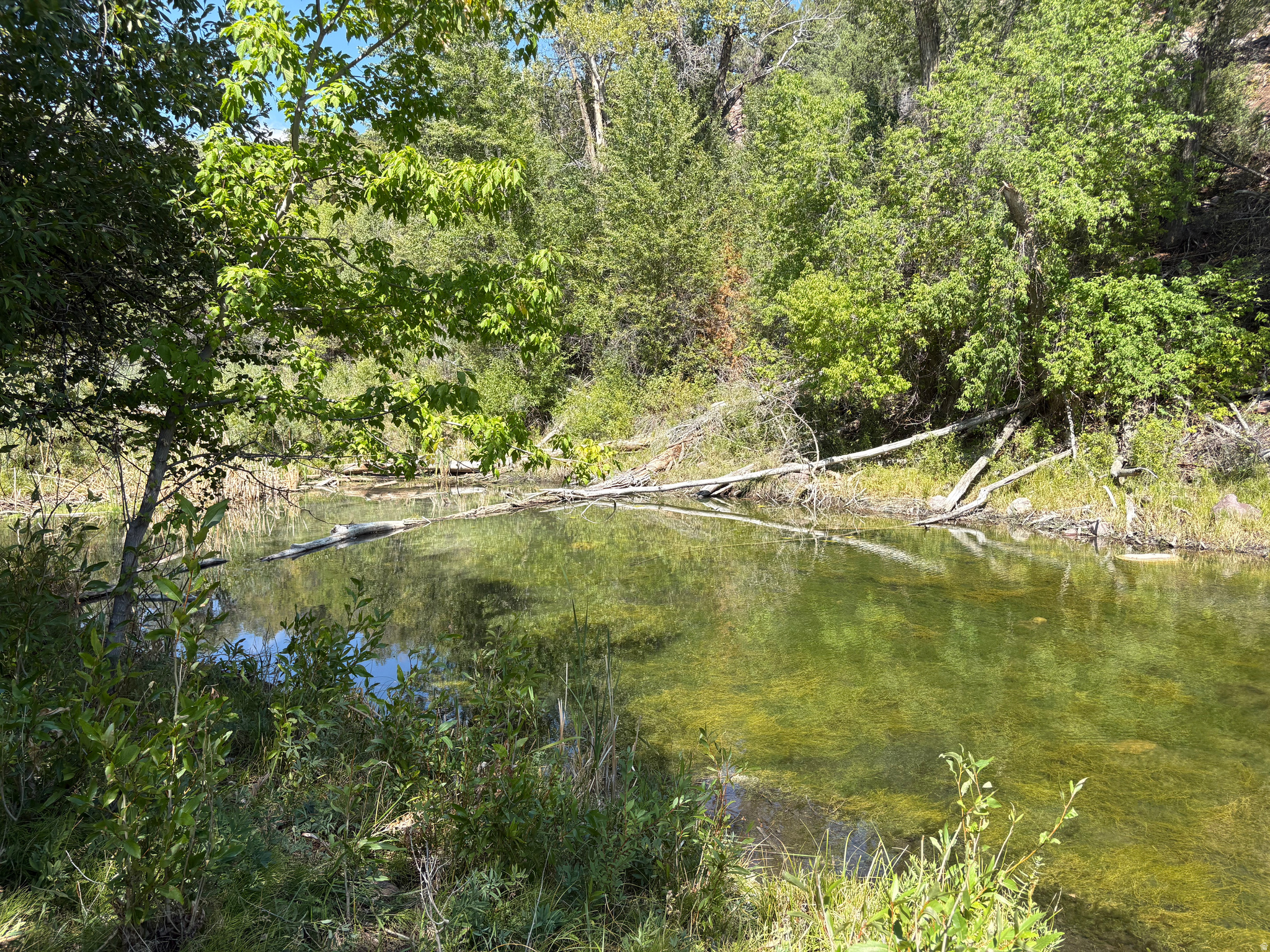 main property photo 42