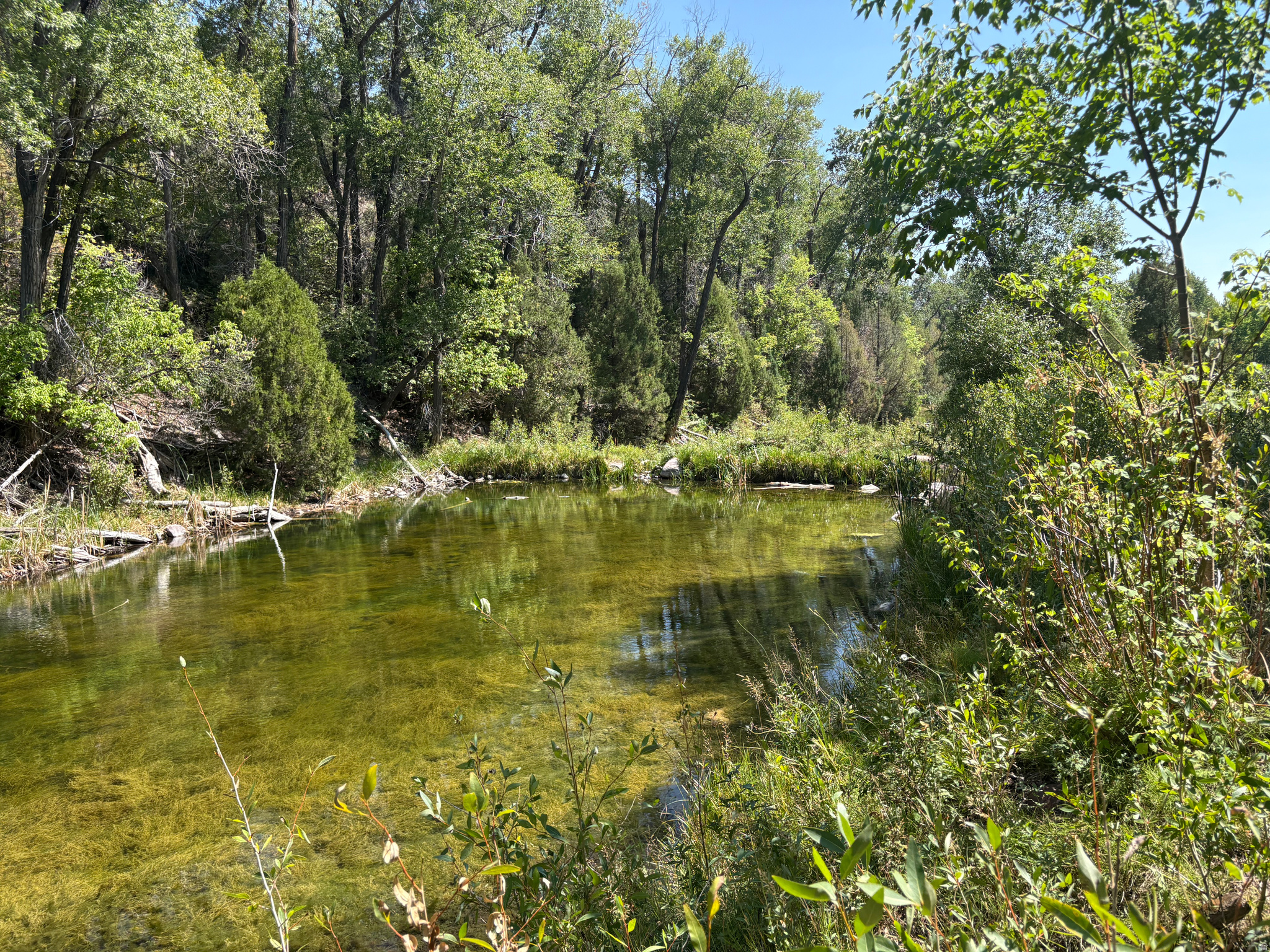 main property photo 43