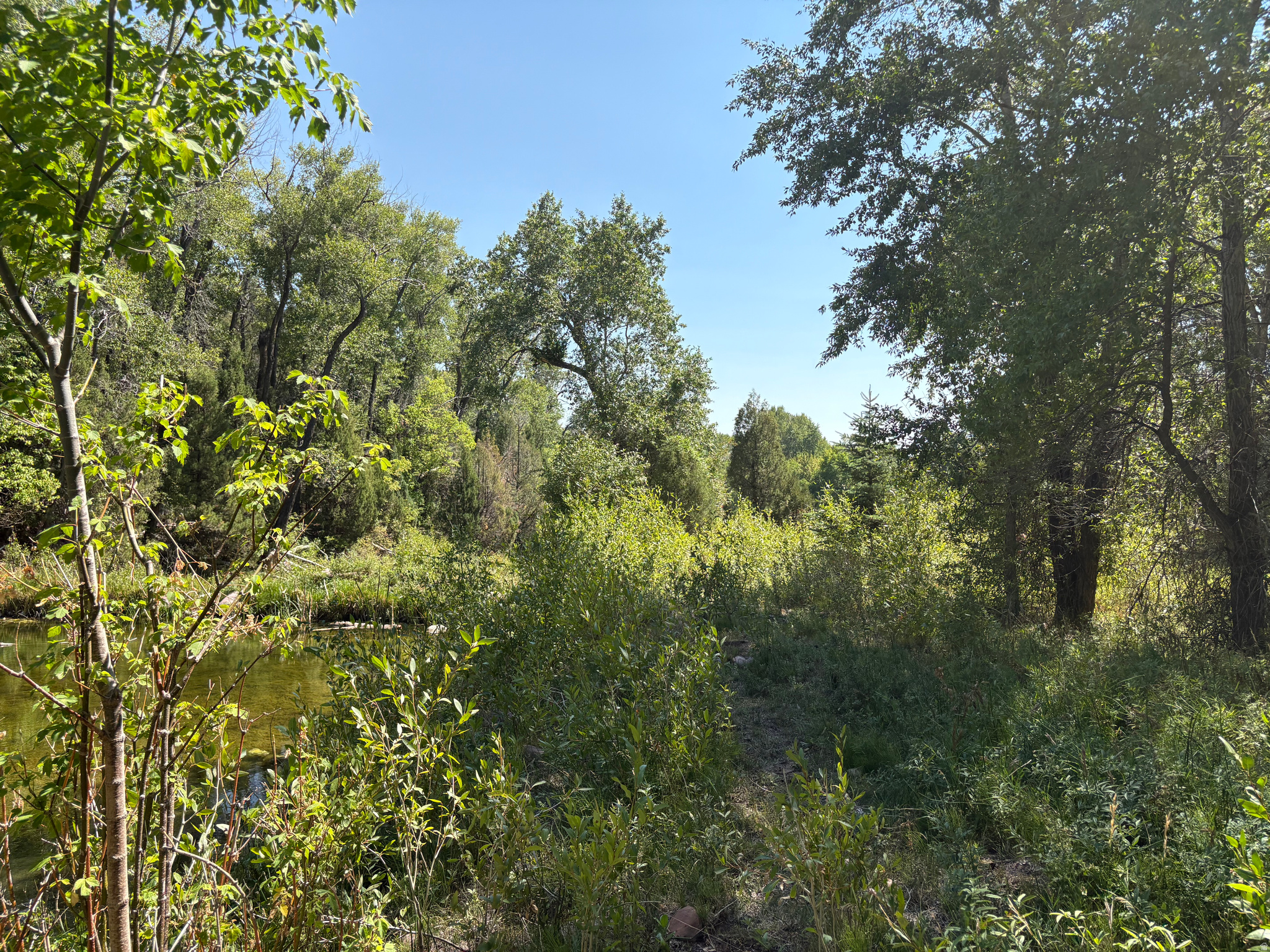 main property photo 45