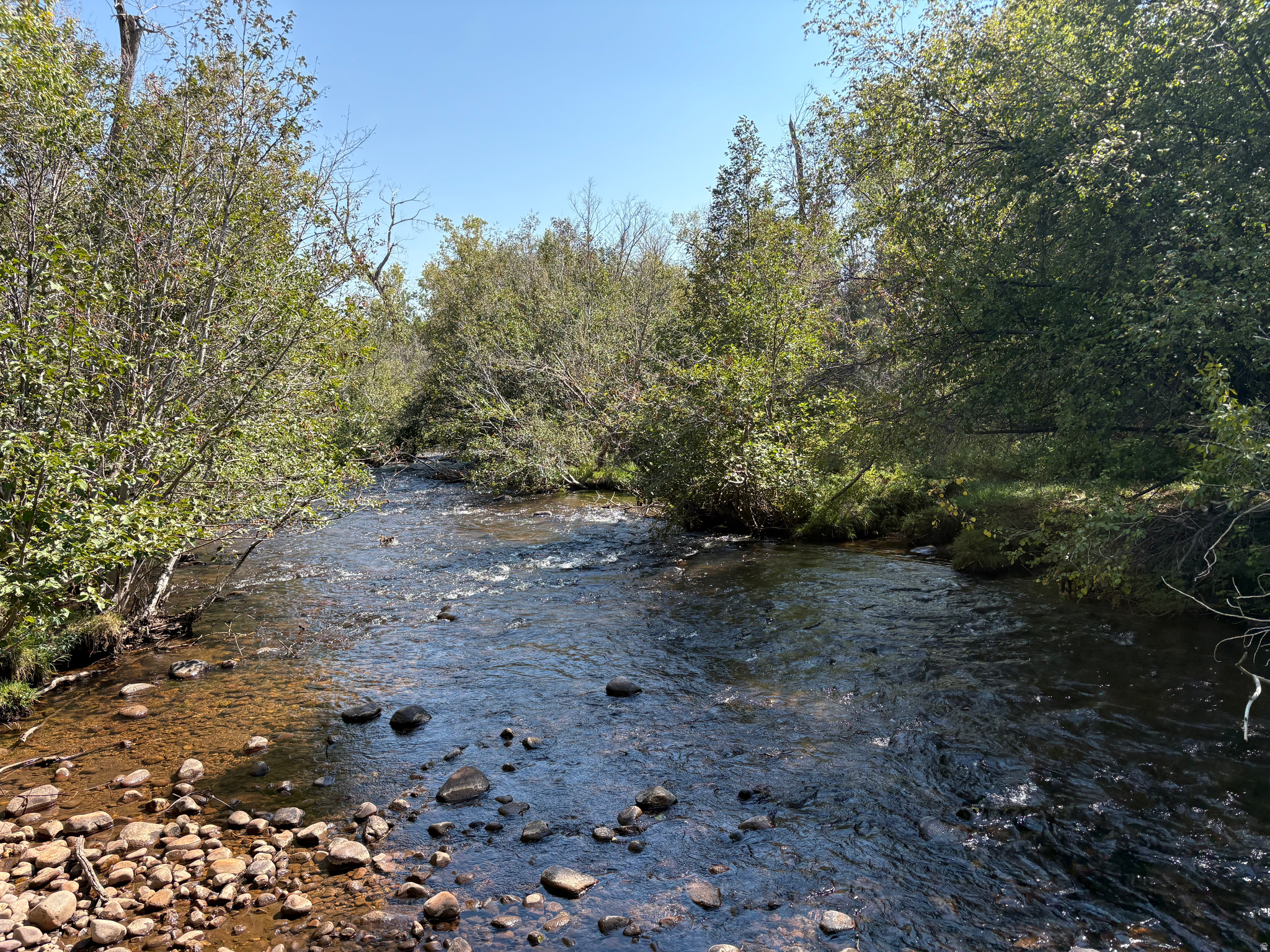 main property photo 49