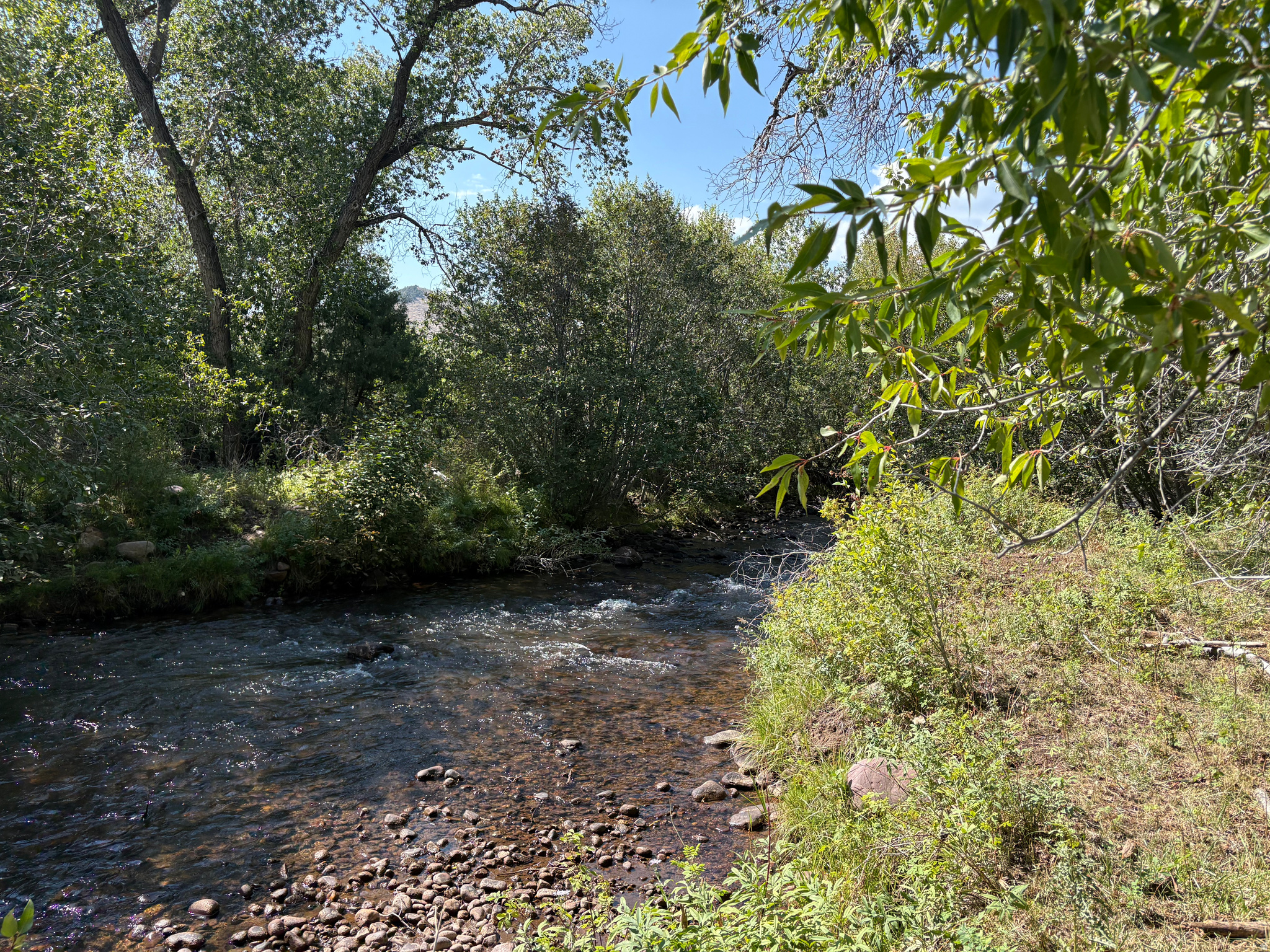 main property photo 50