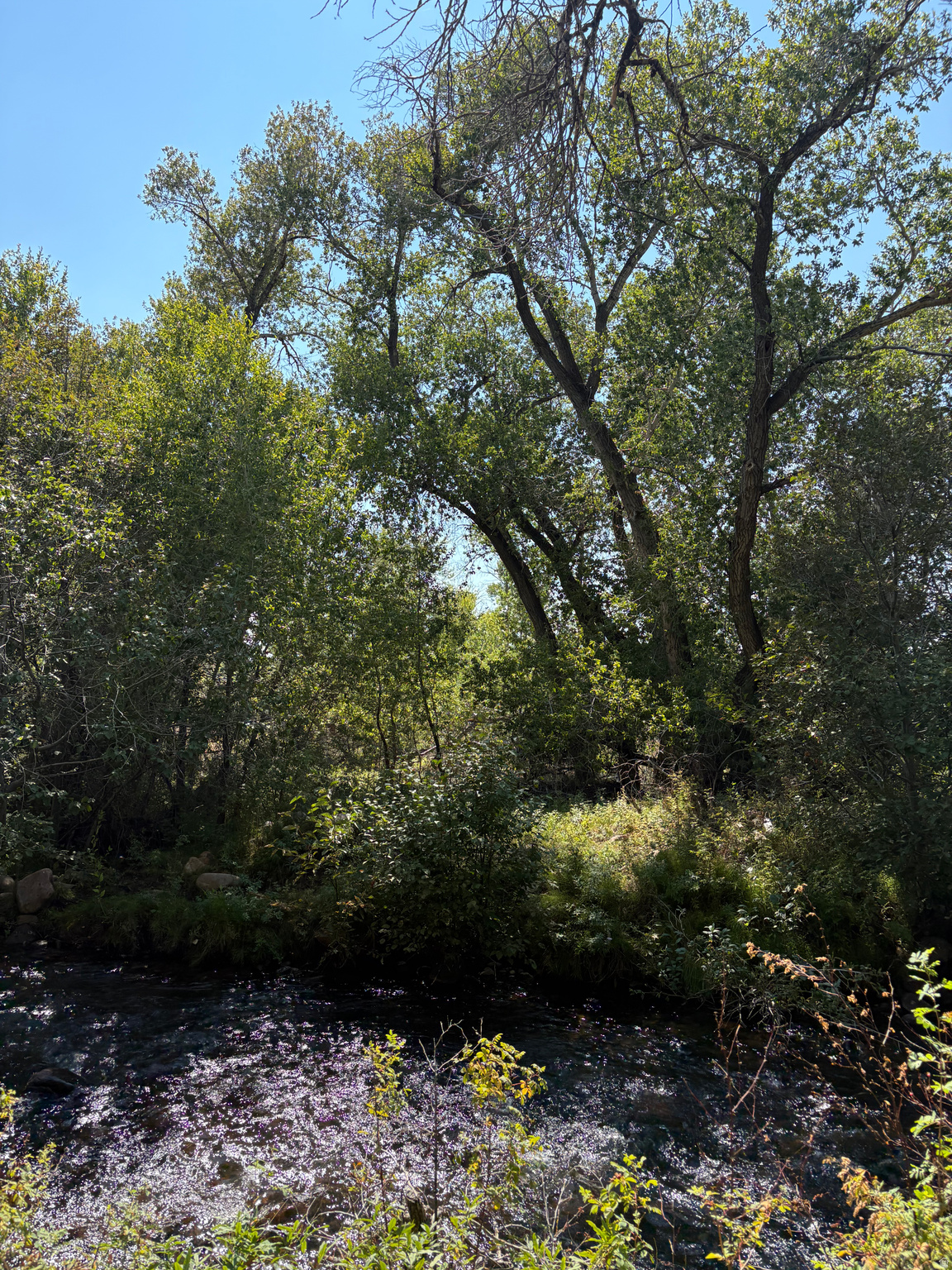 main property photo 51