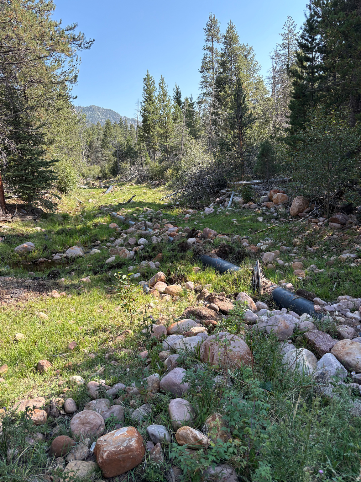 main property photo 54