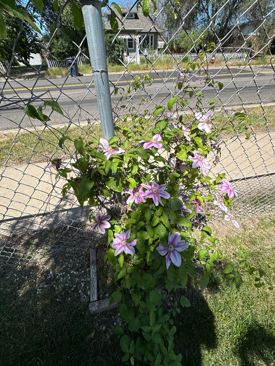 main property photo 26