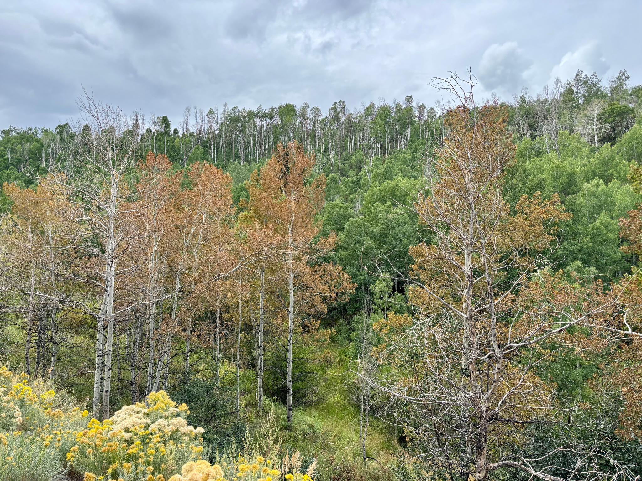 main property photo 11