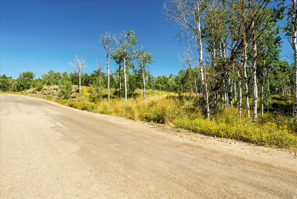 main property photo 27
