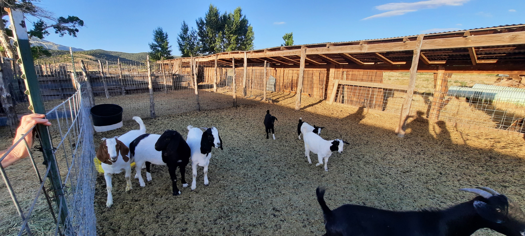 main property photo 14
