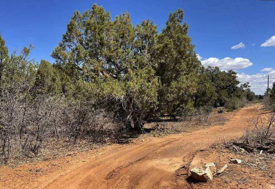 main property photo 6