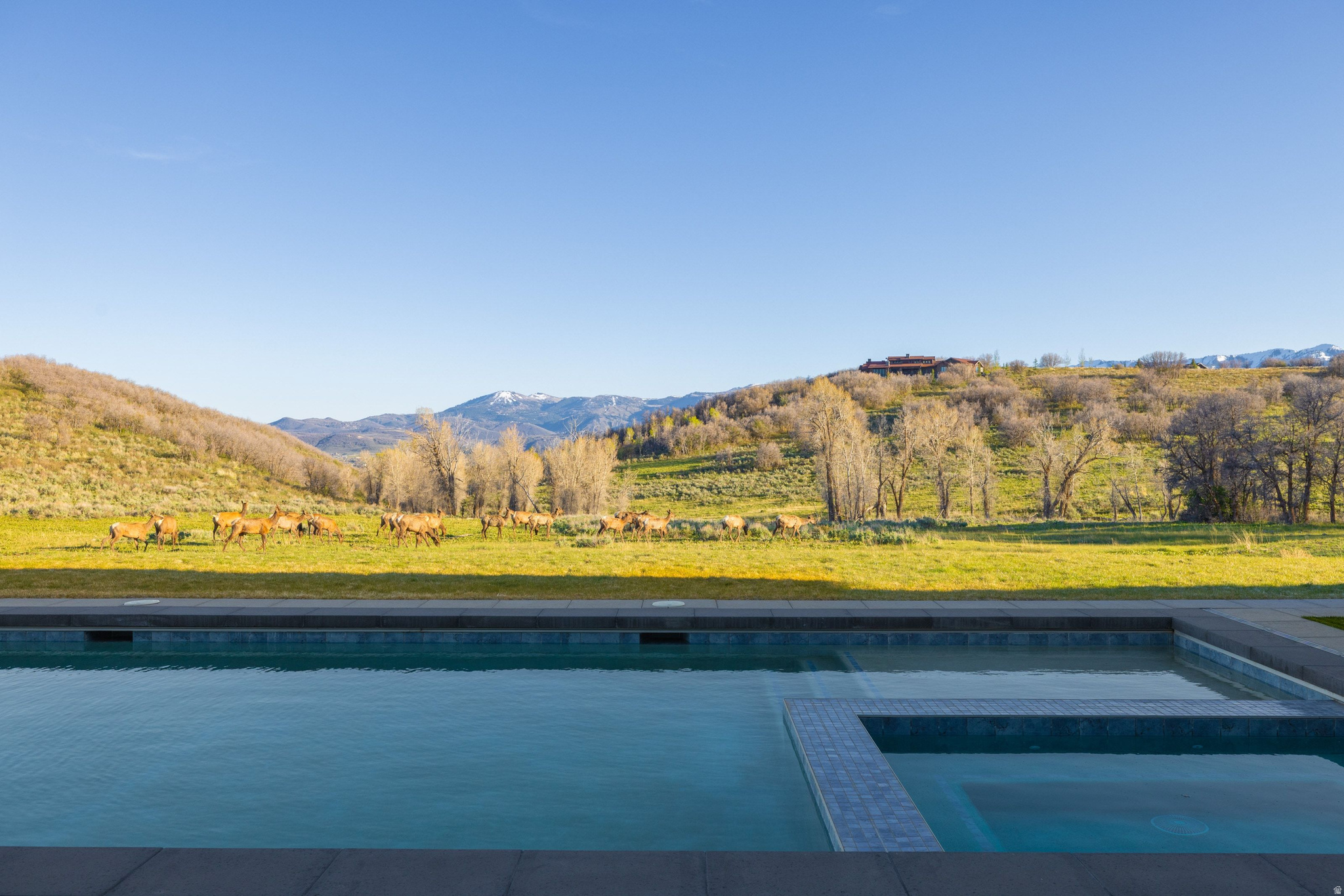 main property photo 52