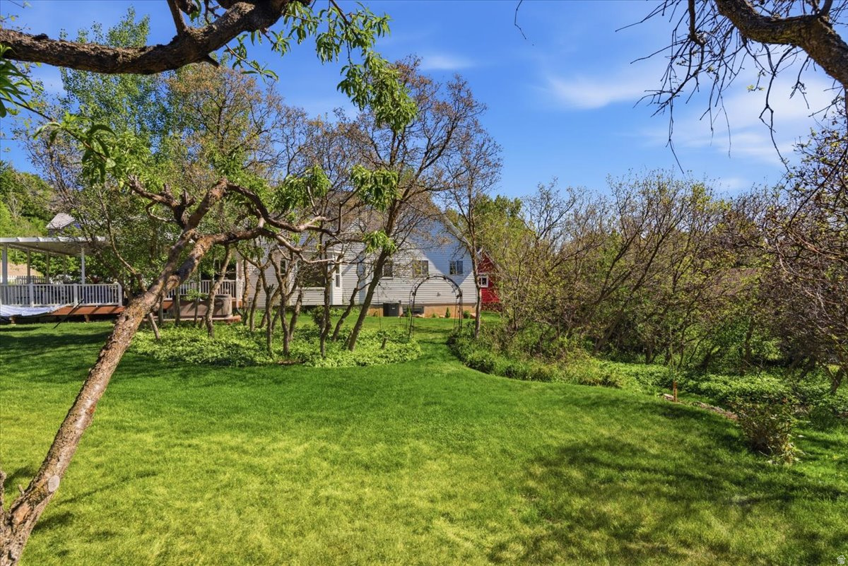 main property photo 29