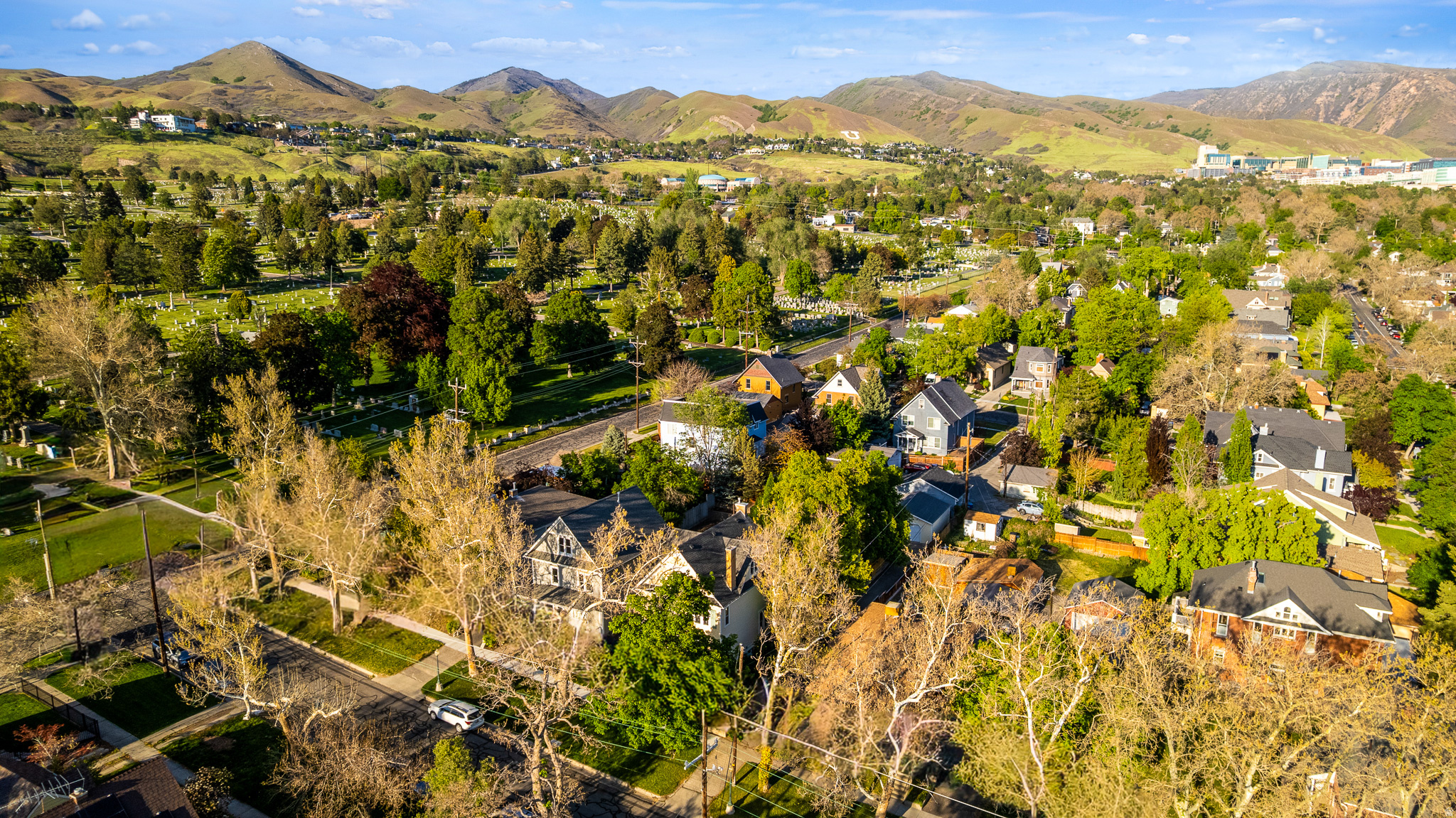 main property photo 50