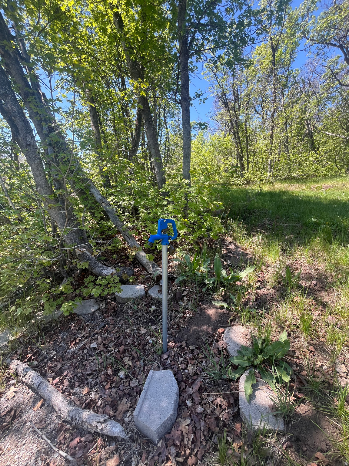 main property photo 12