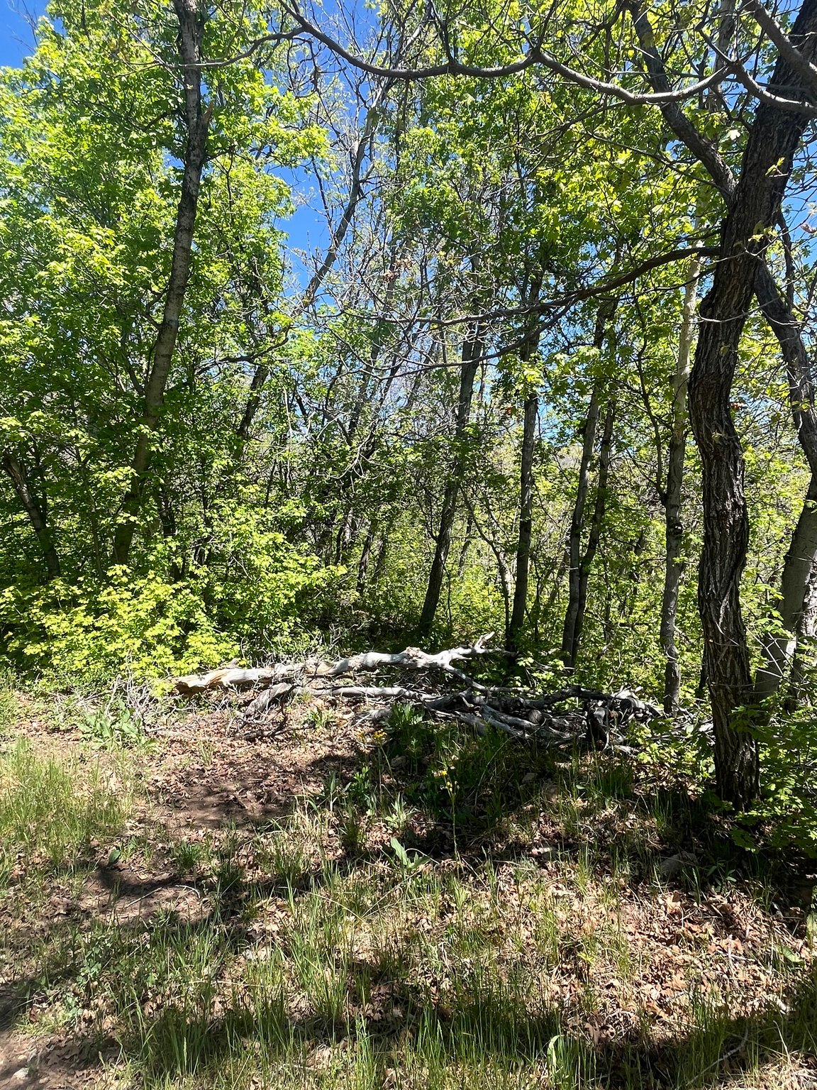 main property photo 15