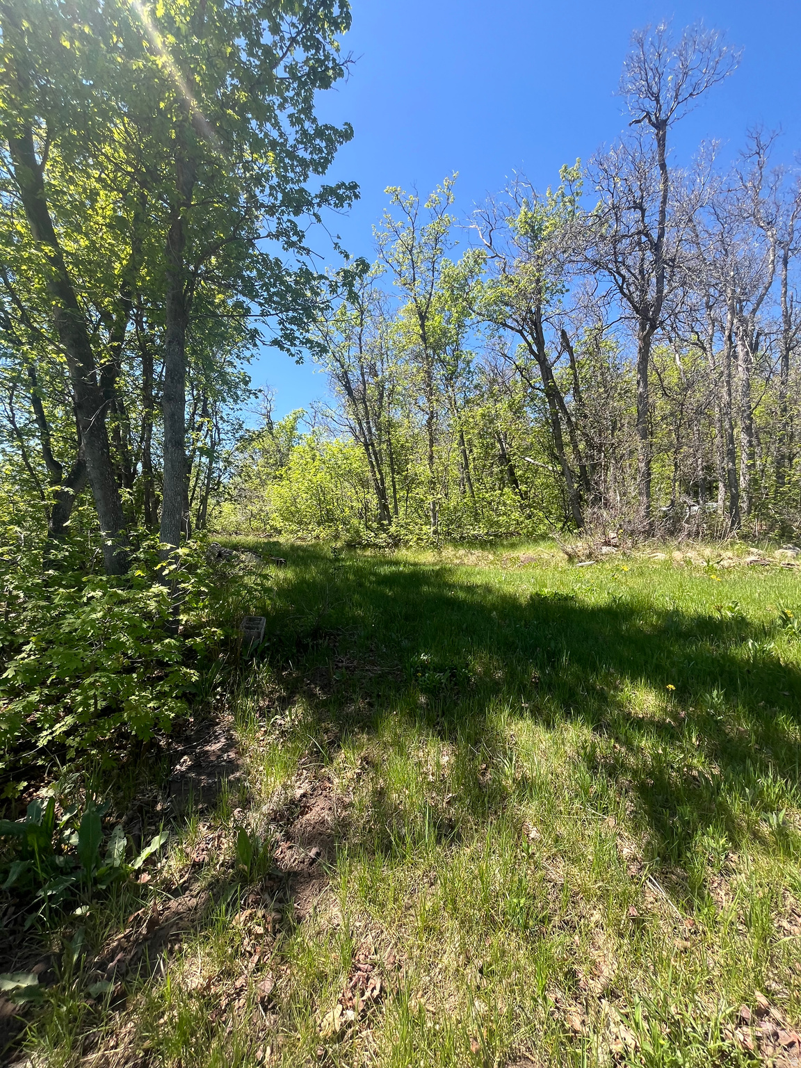 main property photo 16