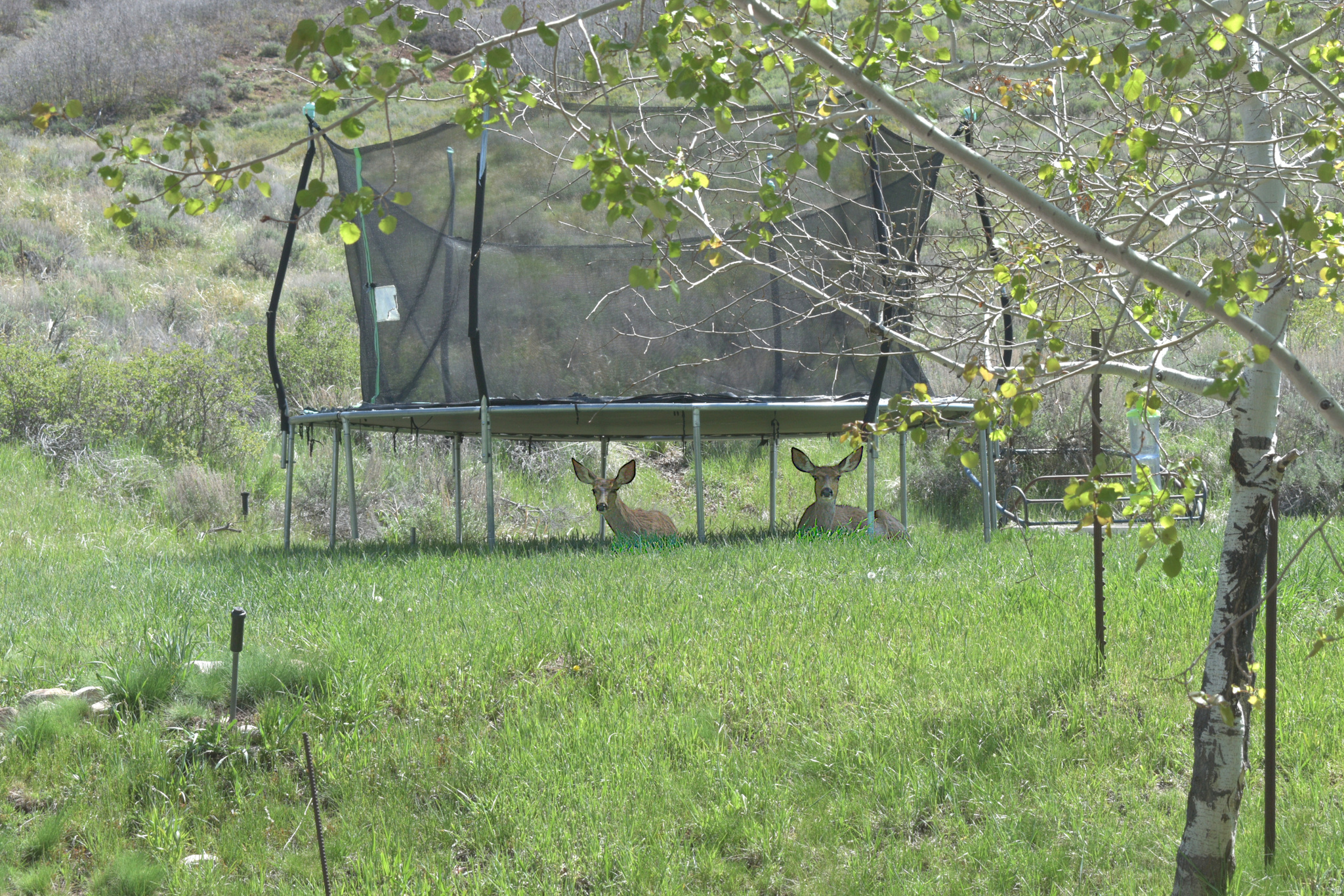 main property photo 53