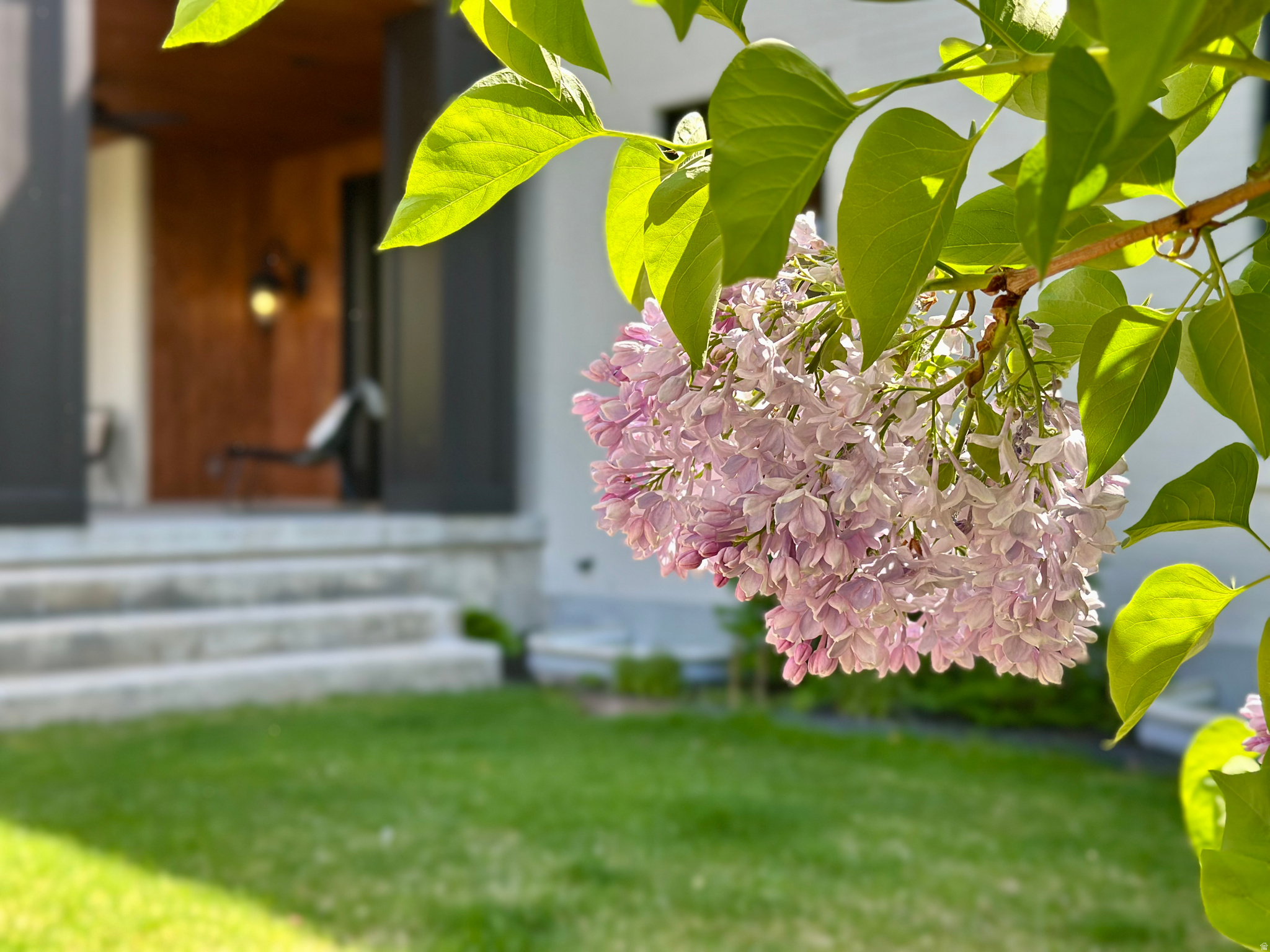main property photo 70