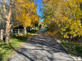 main property photo 49