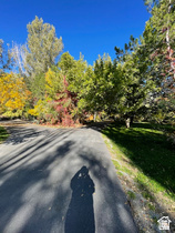 main property photo 61