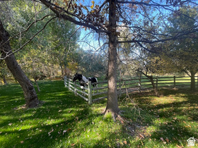 main property photo 68