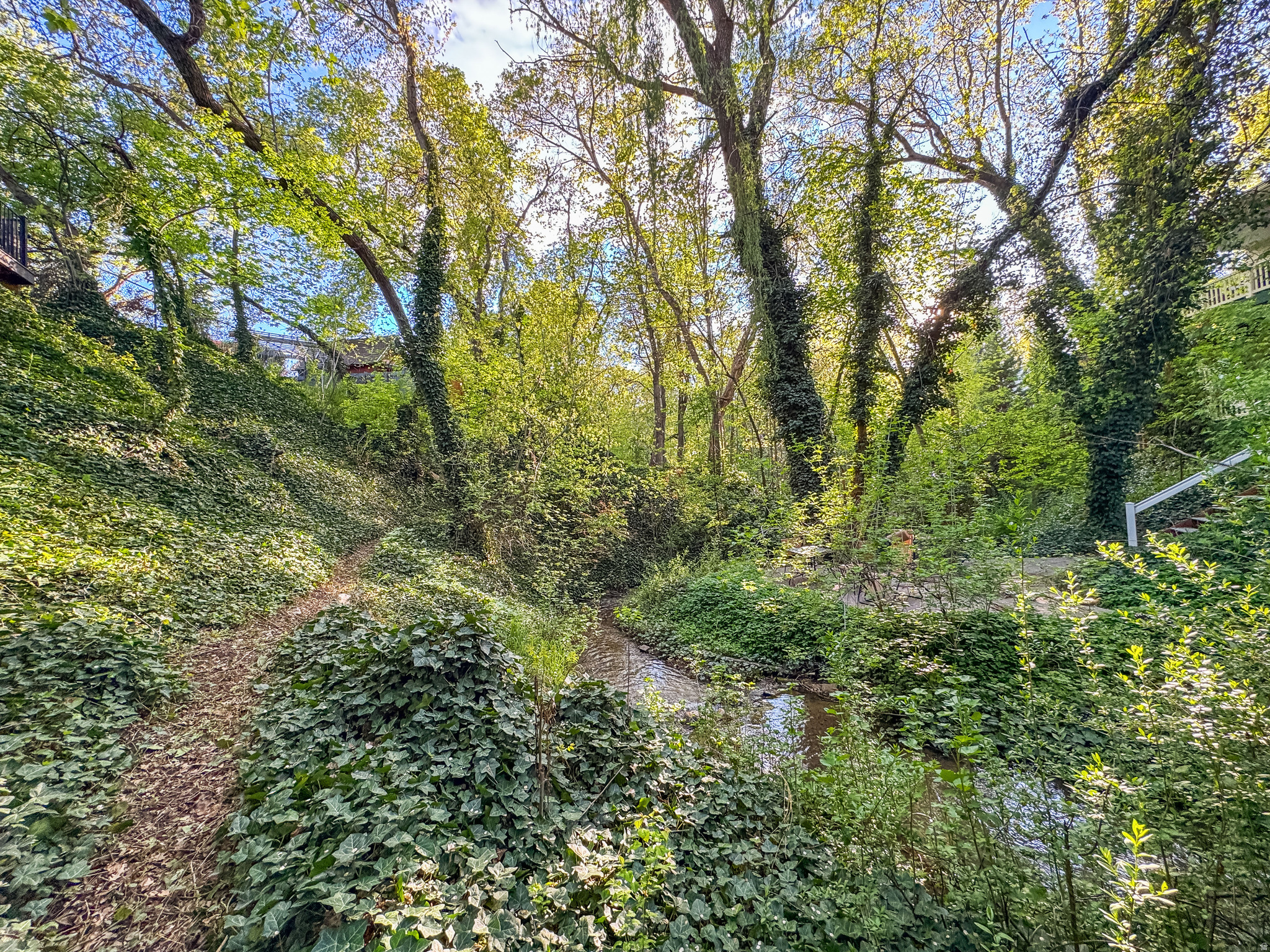 main property photo 51