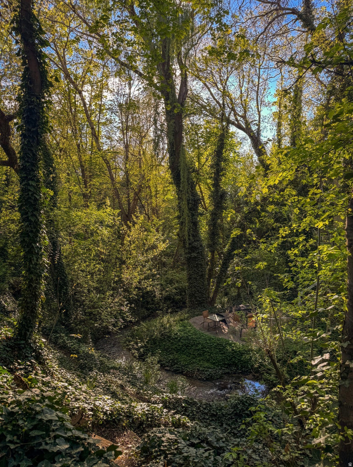 main property photo 64