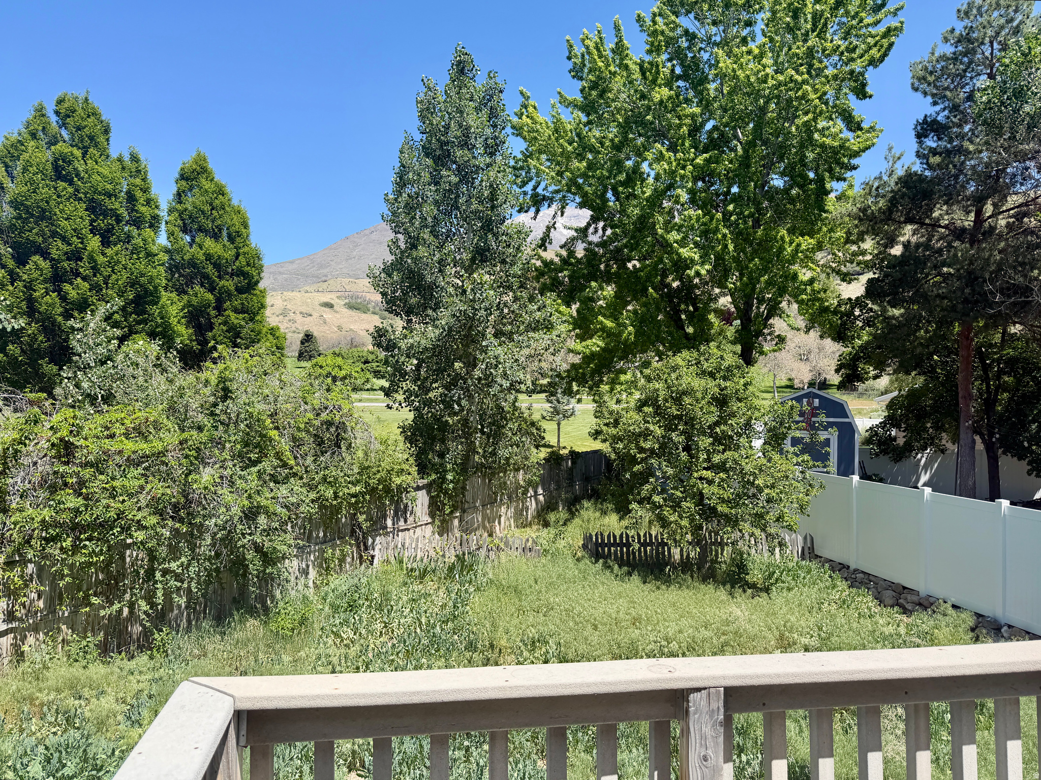 main property photo 17