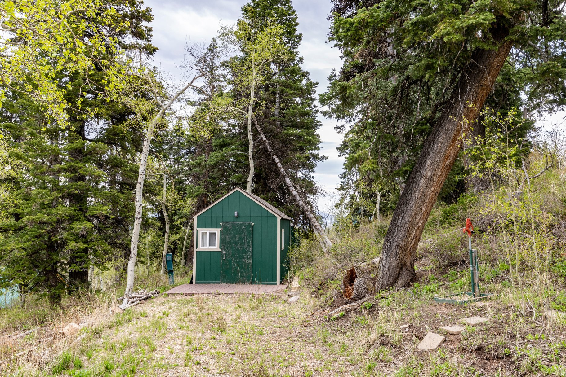 main property photo 6