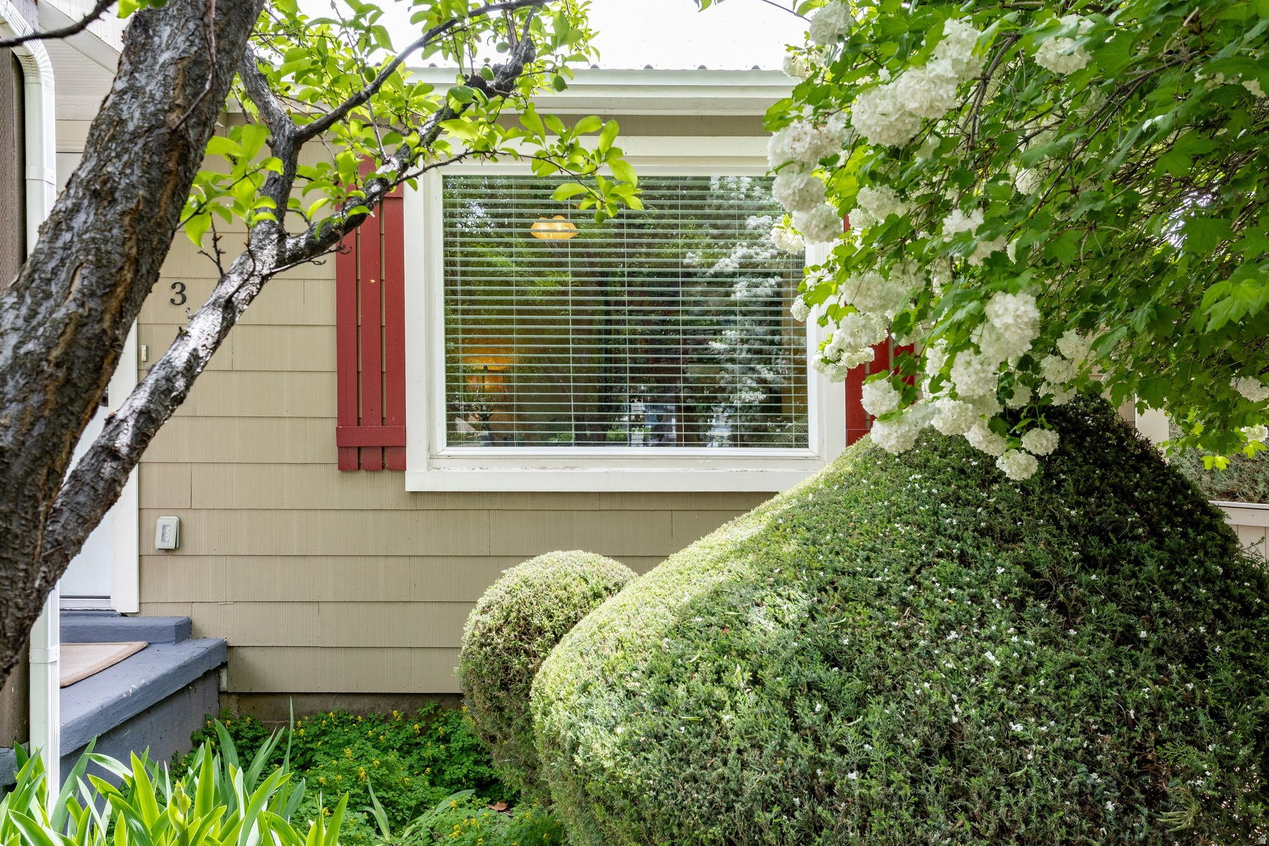 main property photo 56