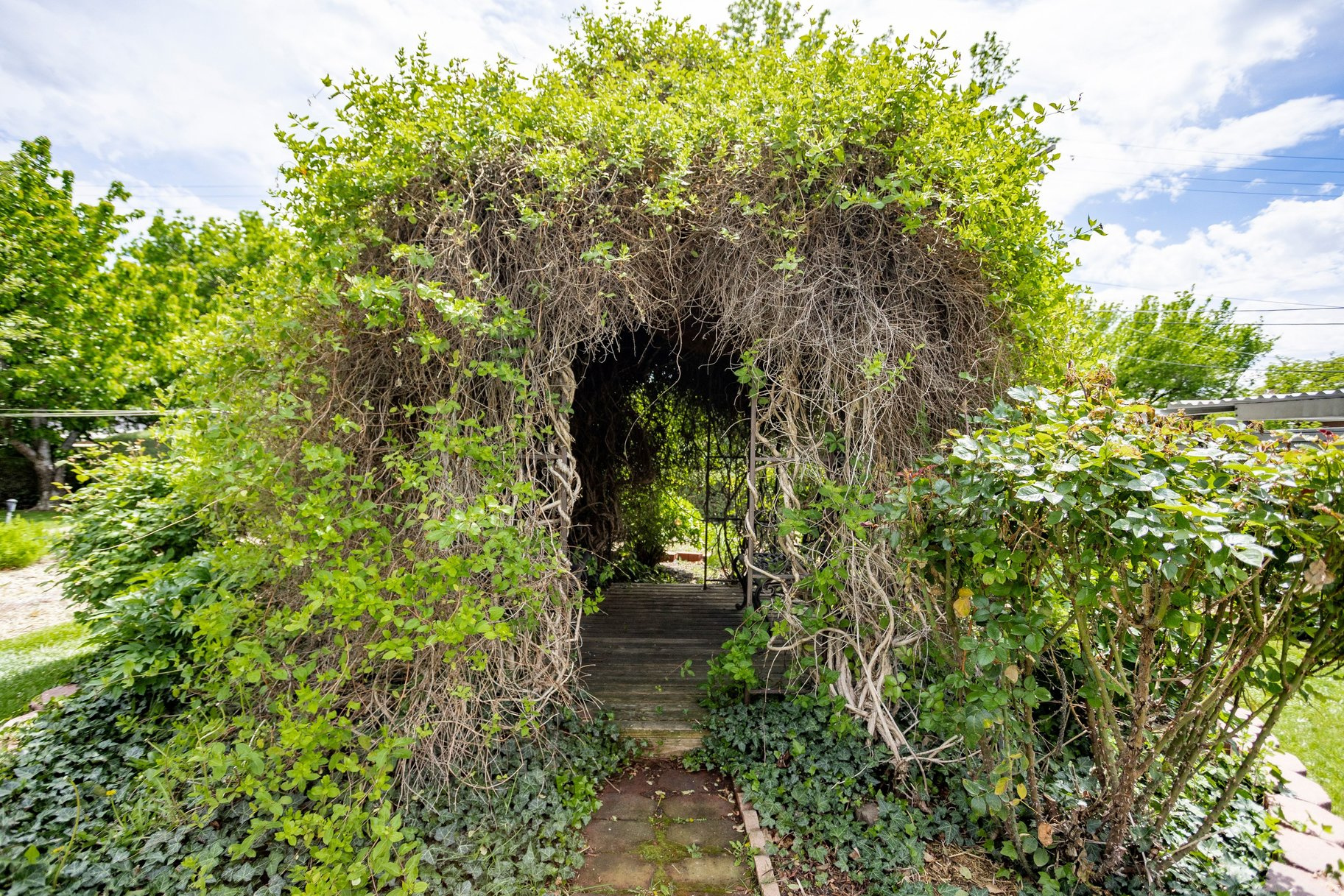 main property photo 59